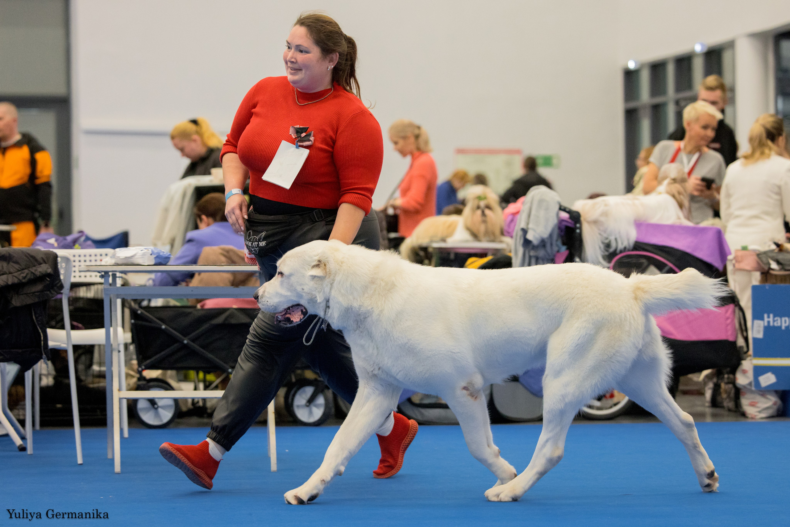 Нижний Новгород 21-22.10.2023. Фотограф-анималист Юлия Германика