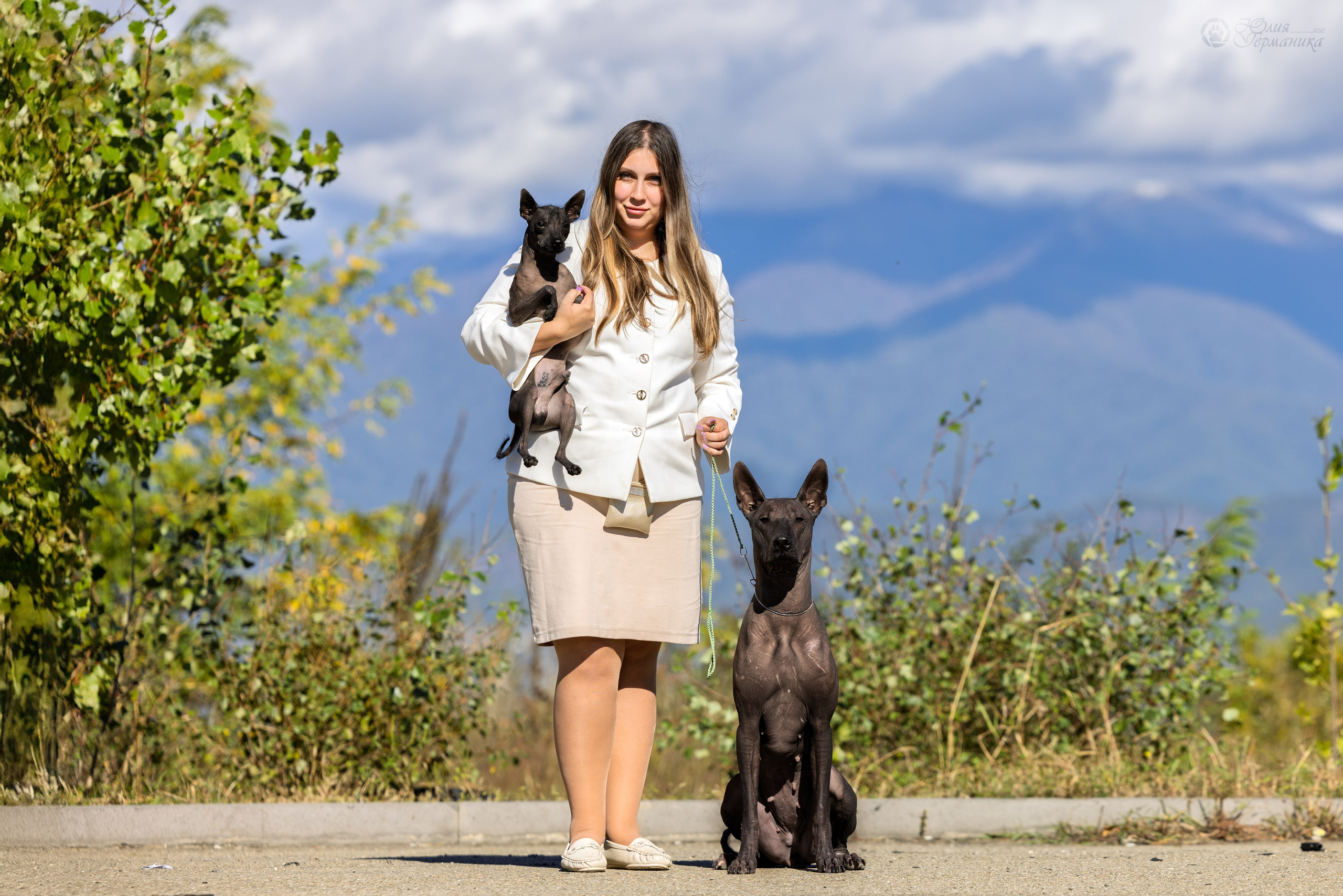 Грузия,Телави 2хCACIB 19-20.10.2024. Фотограф-анималист Юлия Германика