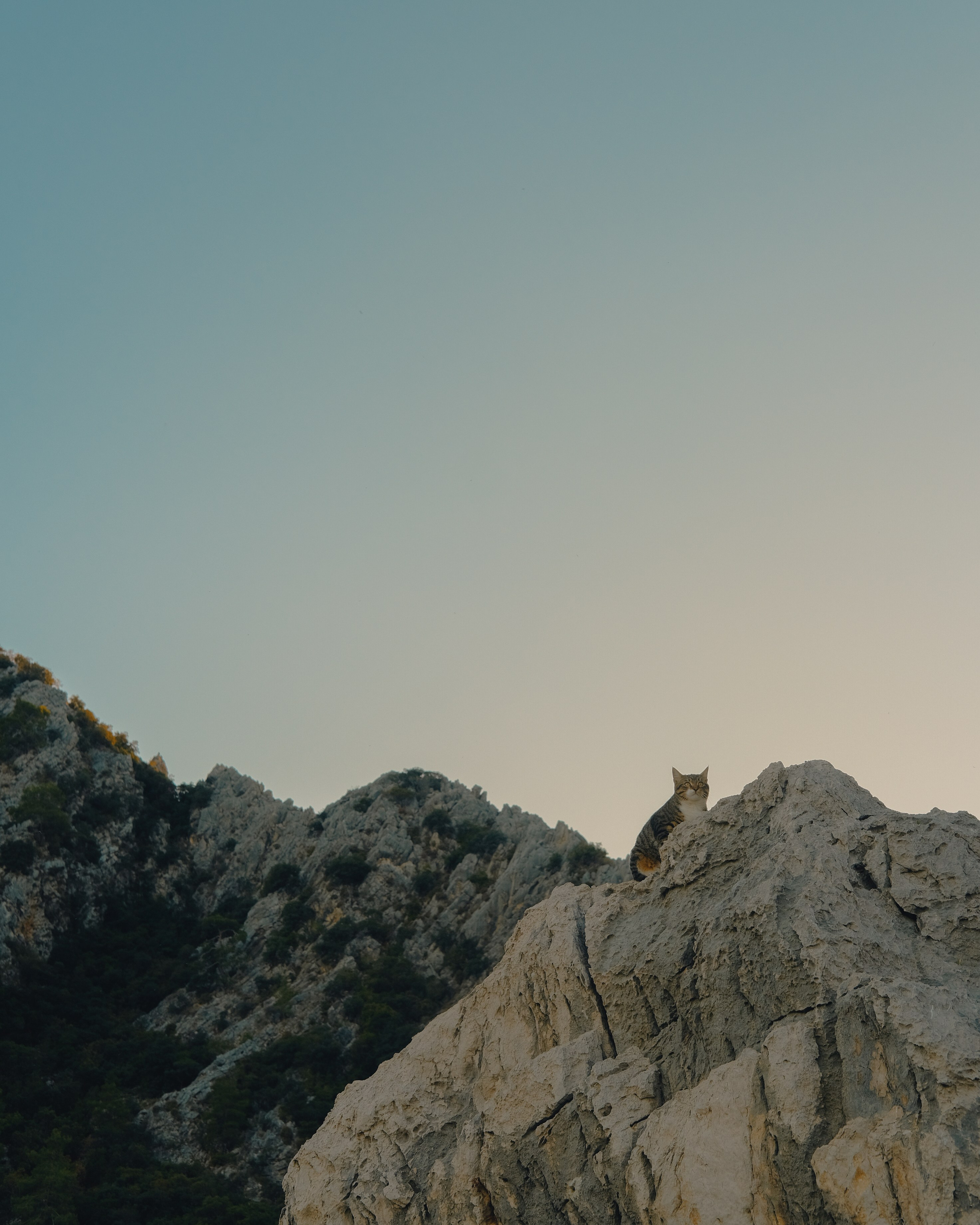 Lycian Way: Turkey. Обо мне