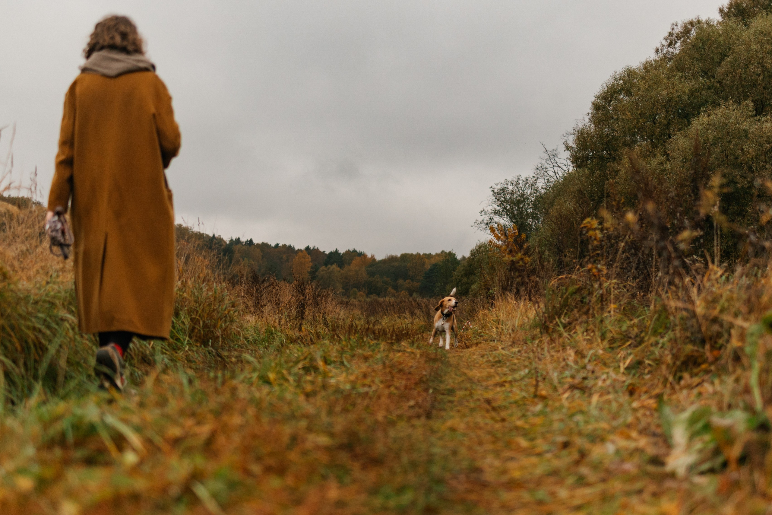 Лена и Тайгер. Фотограф — Анималист | Санкт-Петербург