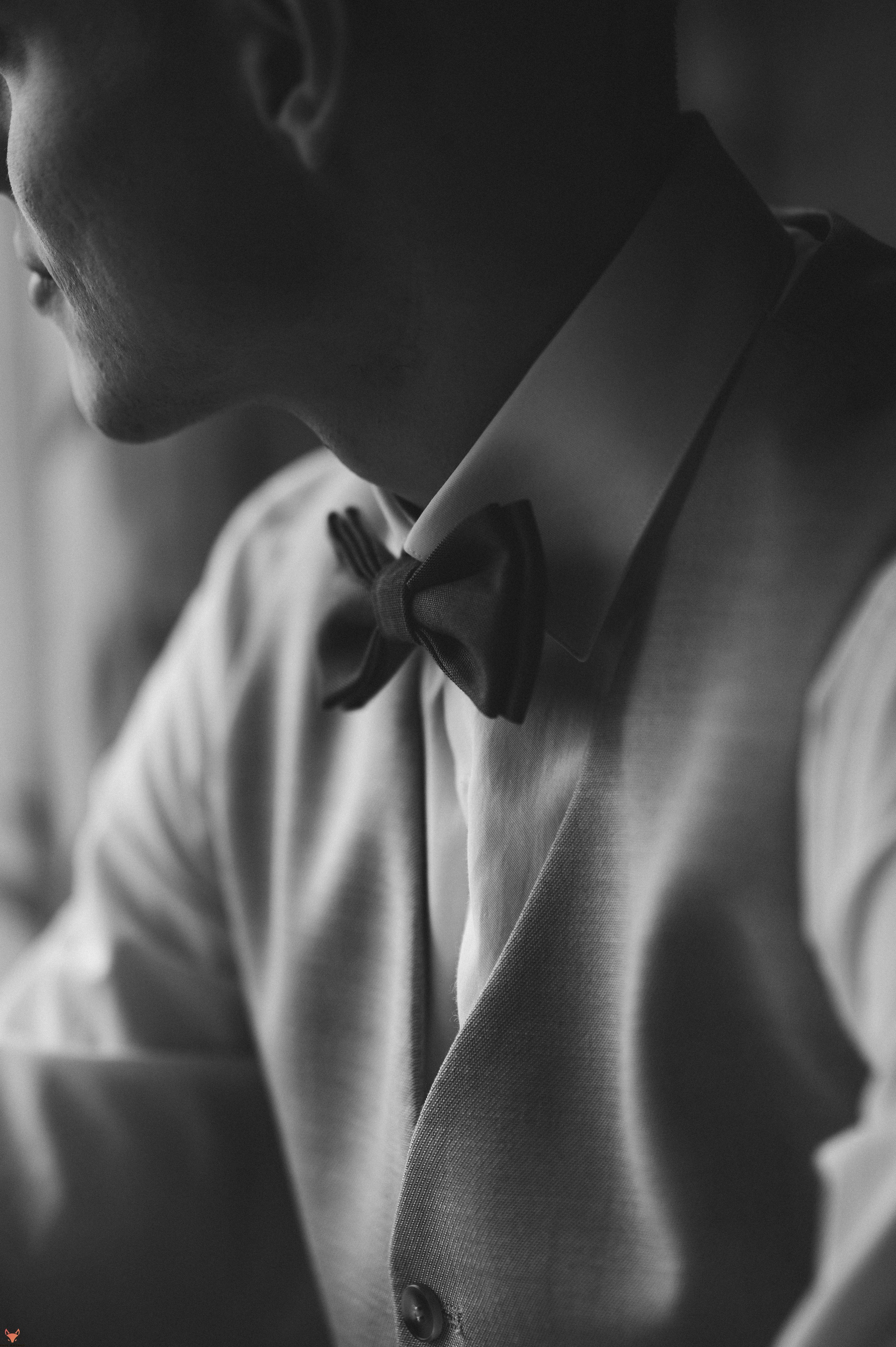 Wedding 02 08 24. Свадебный Фотограф Абакан