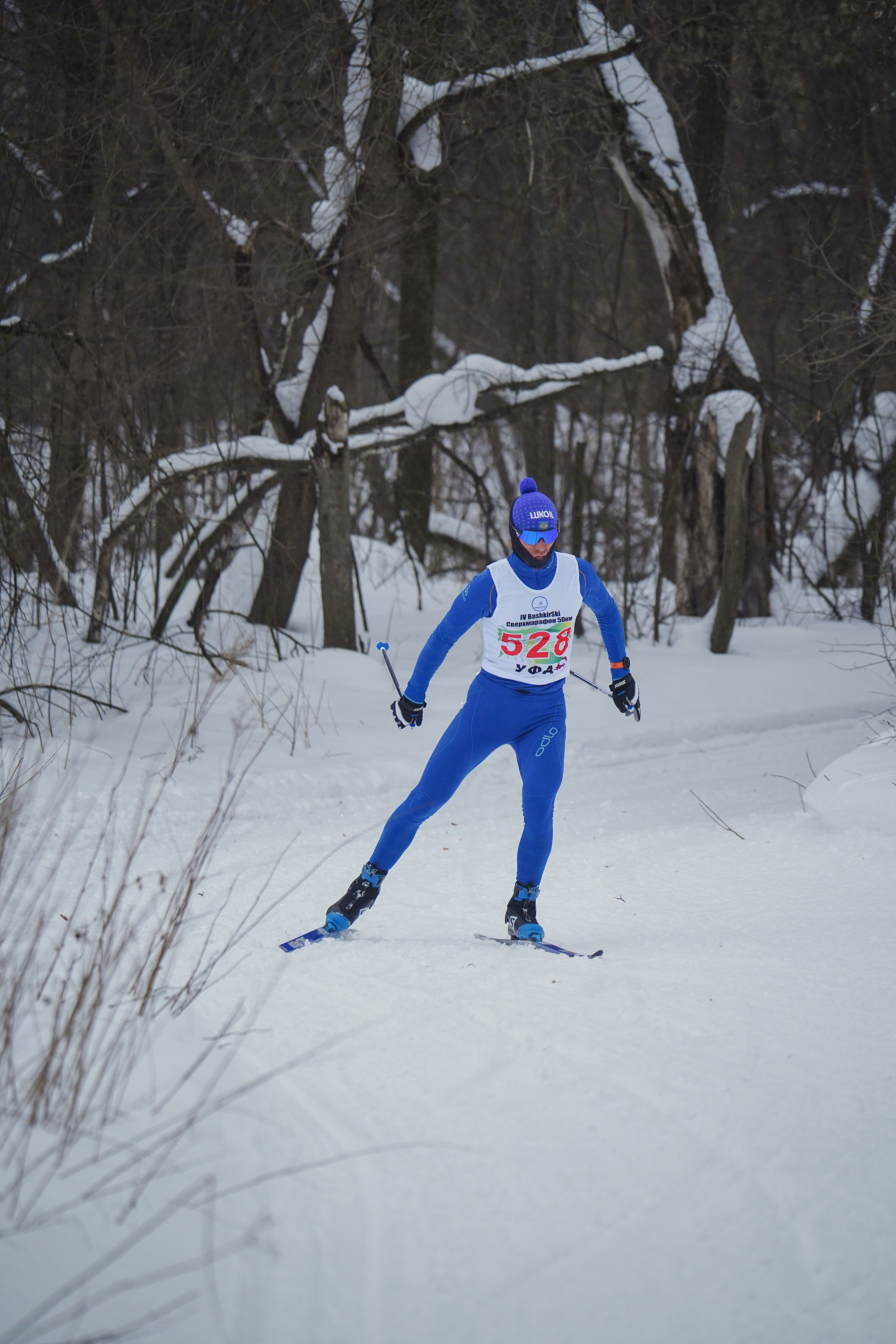 4-й BASHKIR-SKI Лыжный Сверхмарафон 100 км. Pupov.png