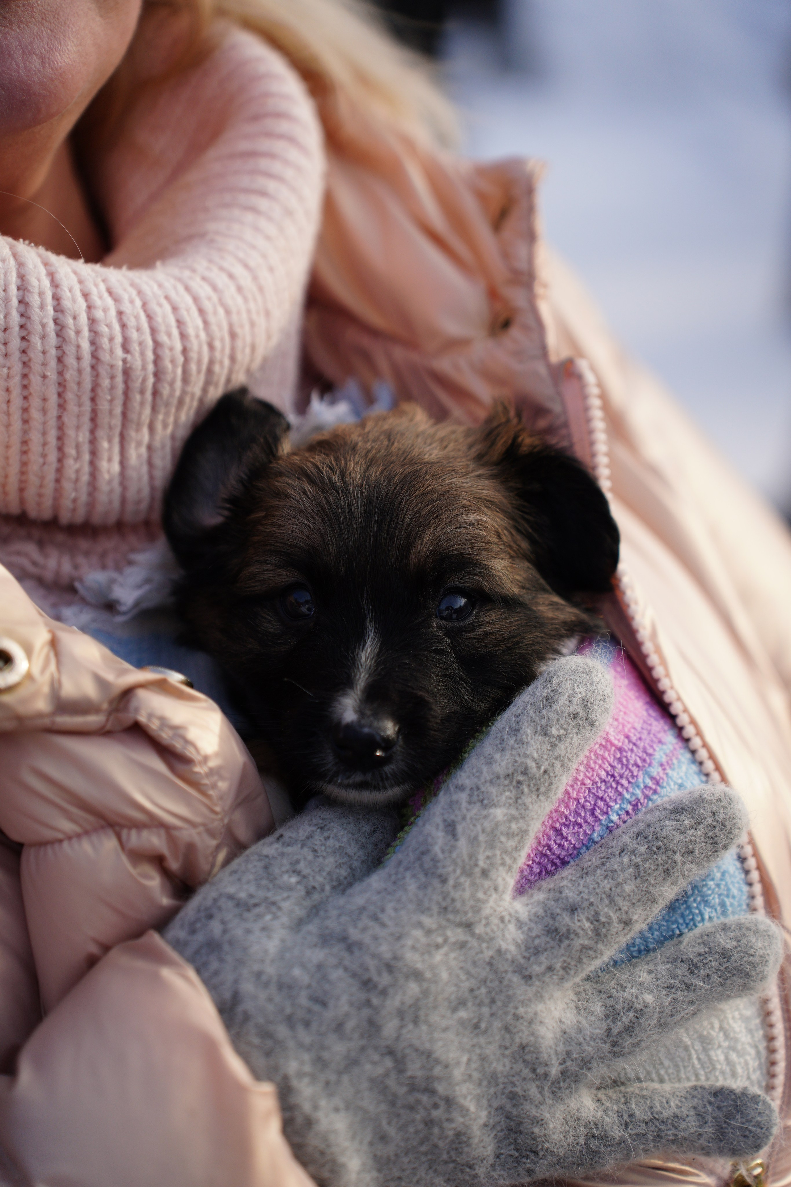 Благотворительная Акция «Ищу Человека». Pupov.png