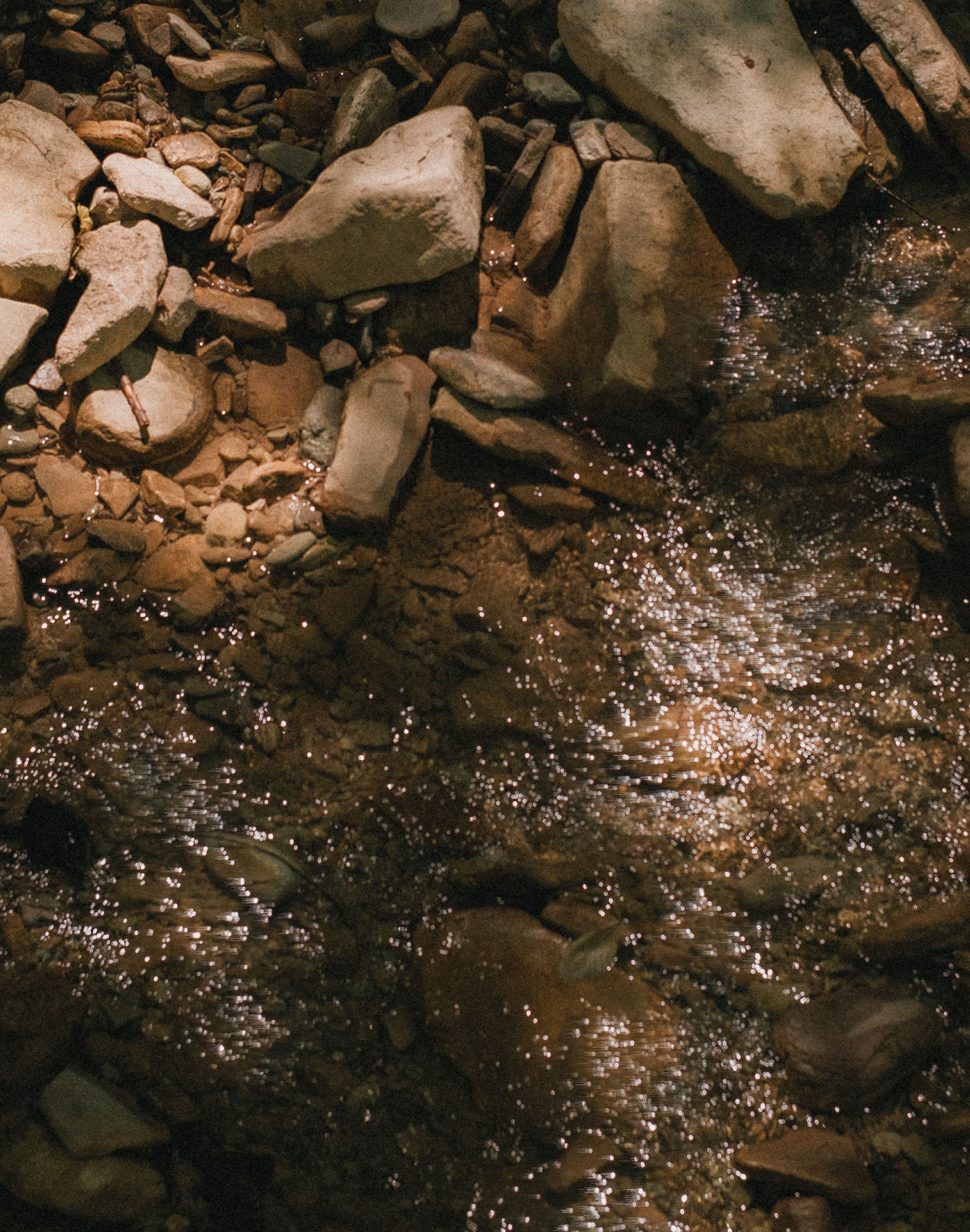 Одно целое. Семейный и свадебный фотограф в Краснодаре