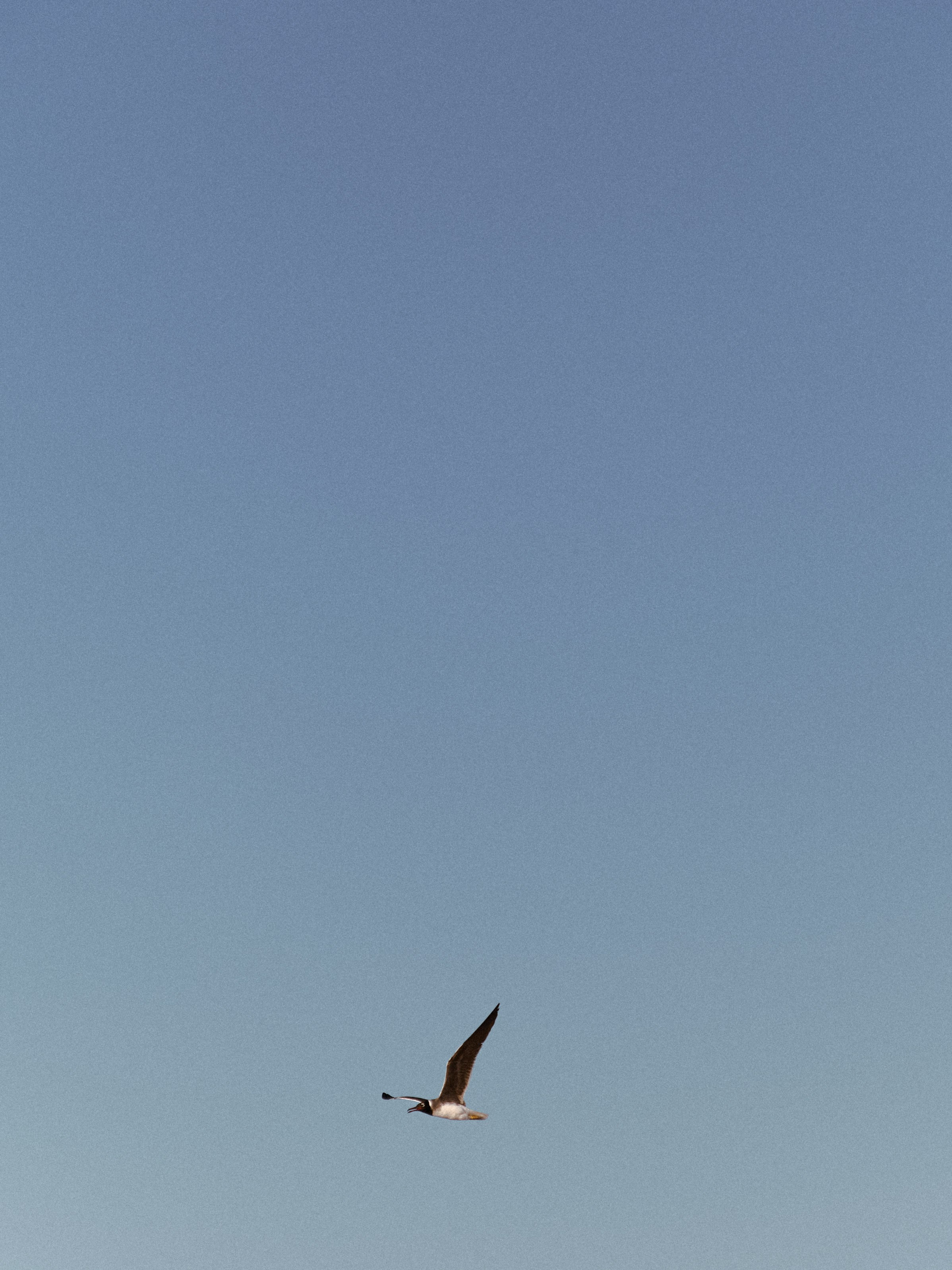 Природа. Jorgis Talè — photographer, kind person, teacher of arts and other mag