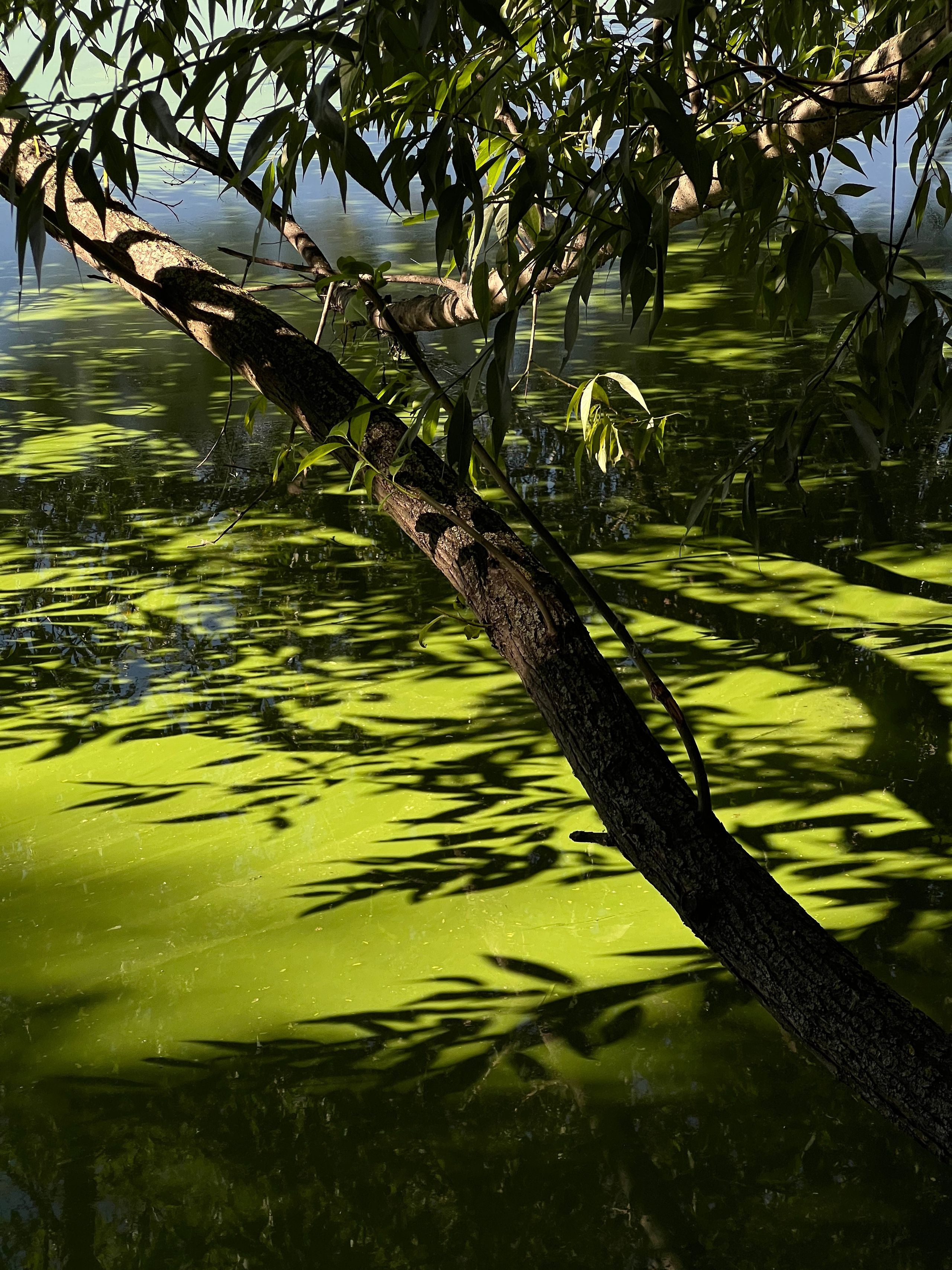 Fragments. Artem Khusainov