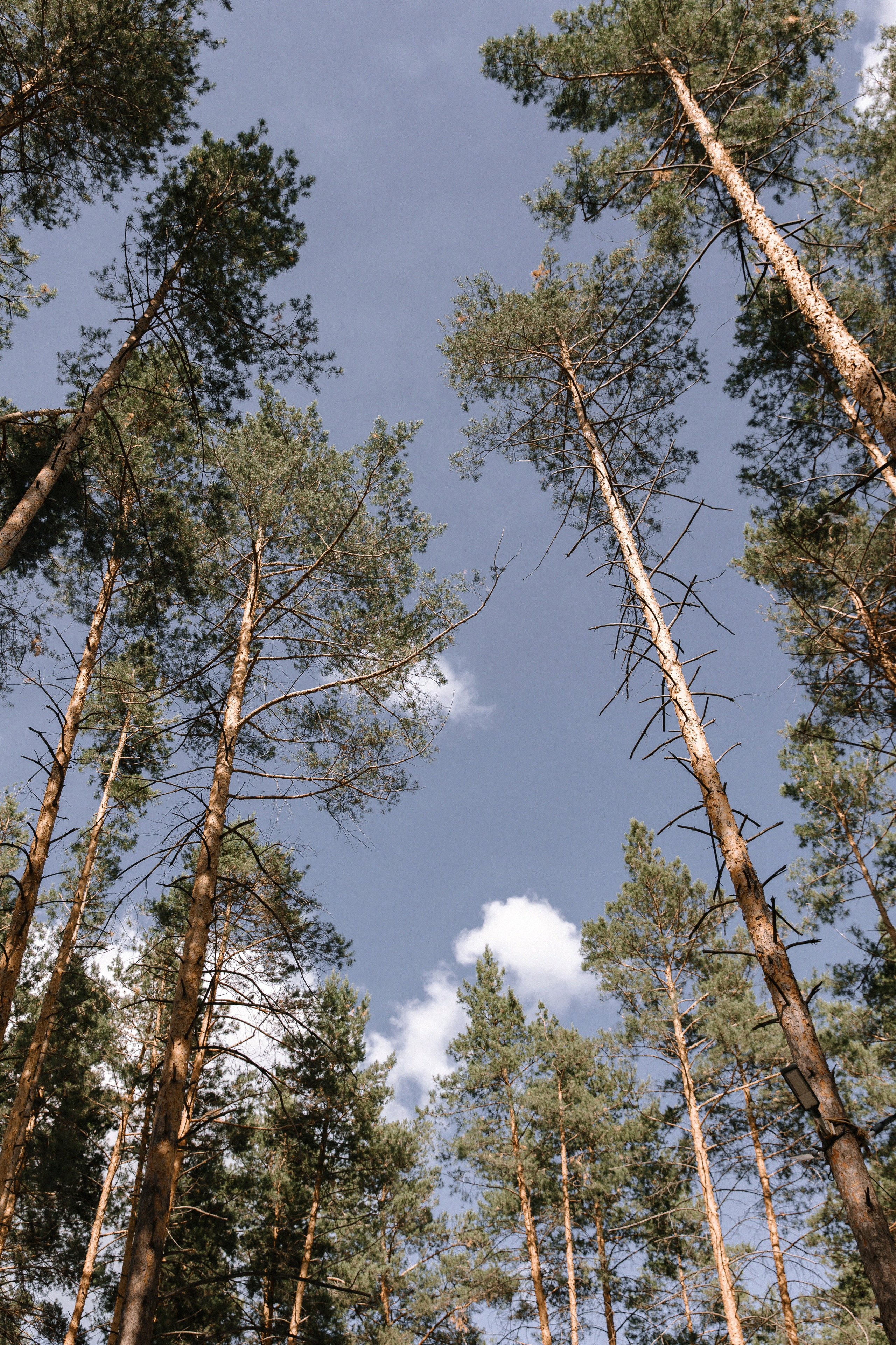 Красивая дата. Фотограф Елена Краснопевцева