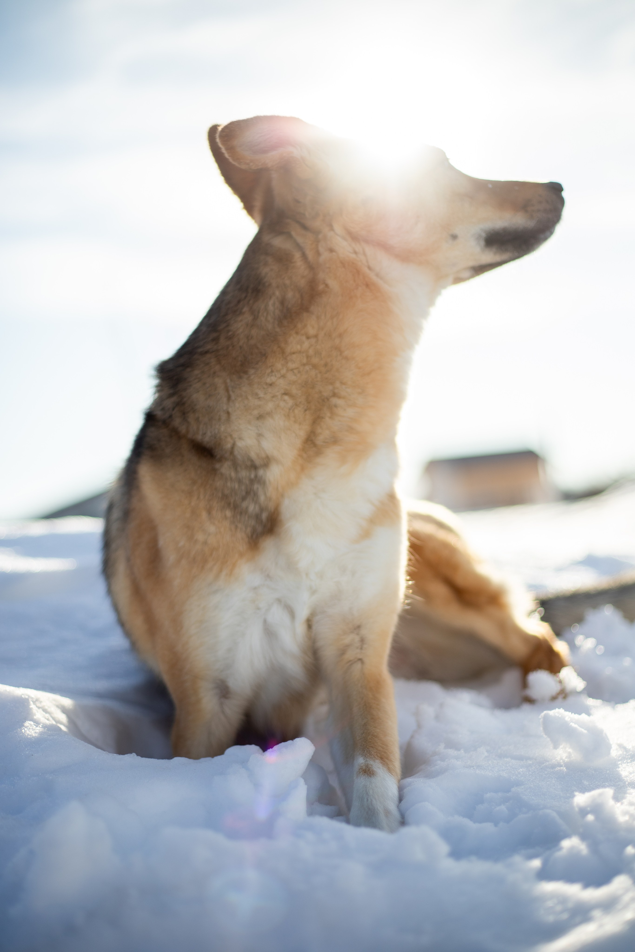 Семья. Фотограф в Перми Любовь Огородова | Авторские туры