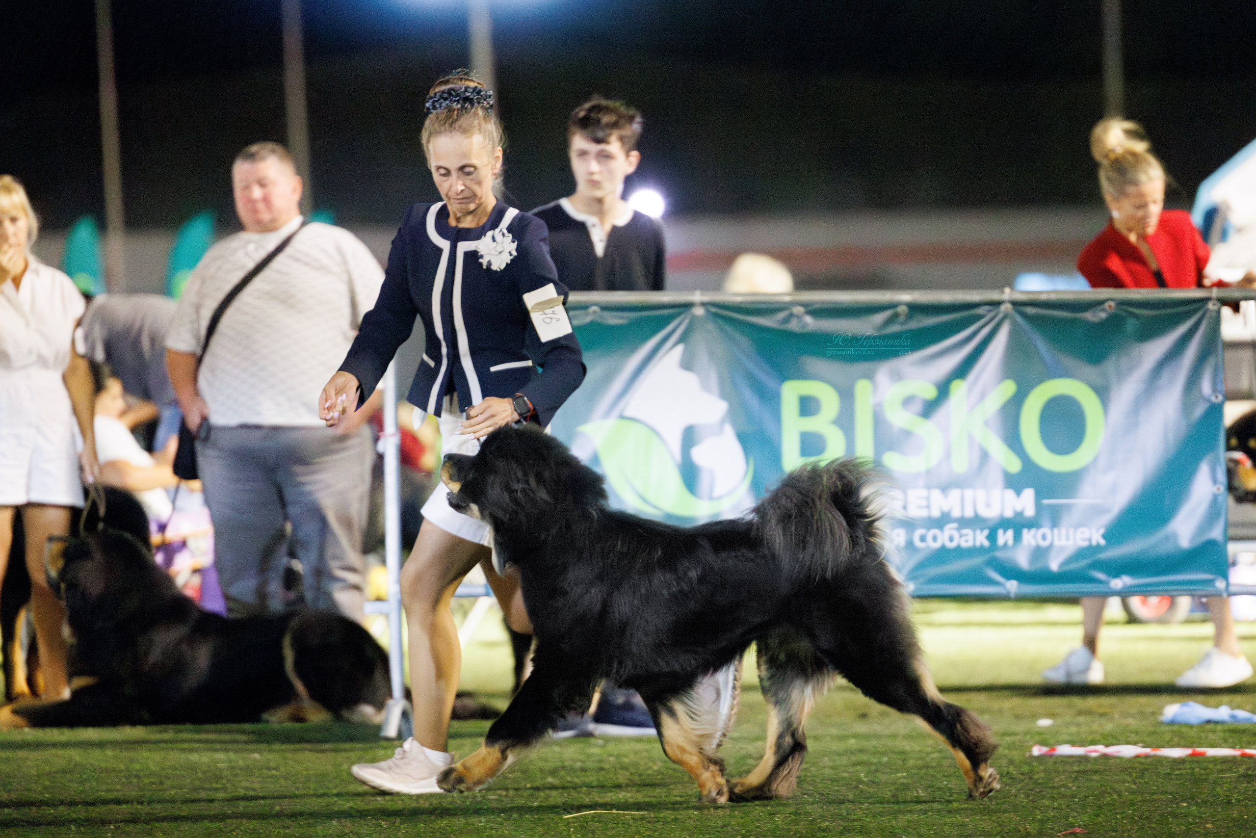 Волгоград 2-4.08.2024. Фотограф-анималист Юлия Германика