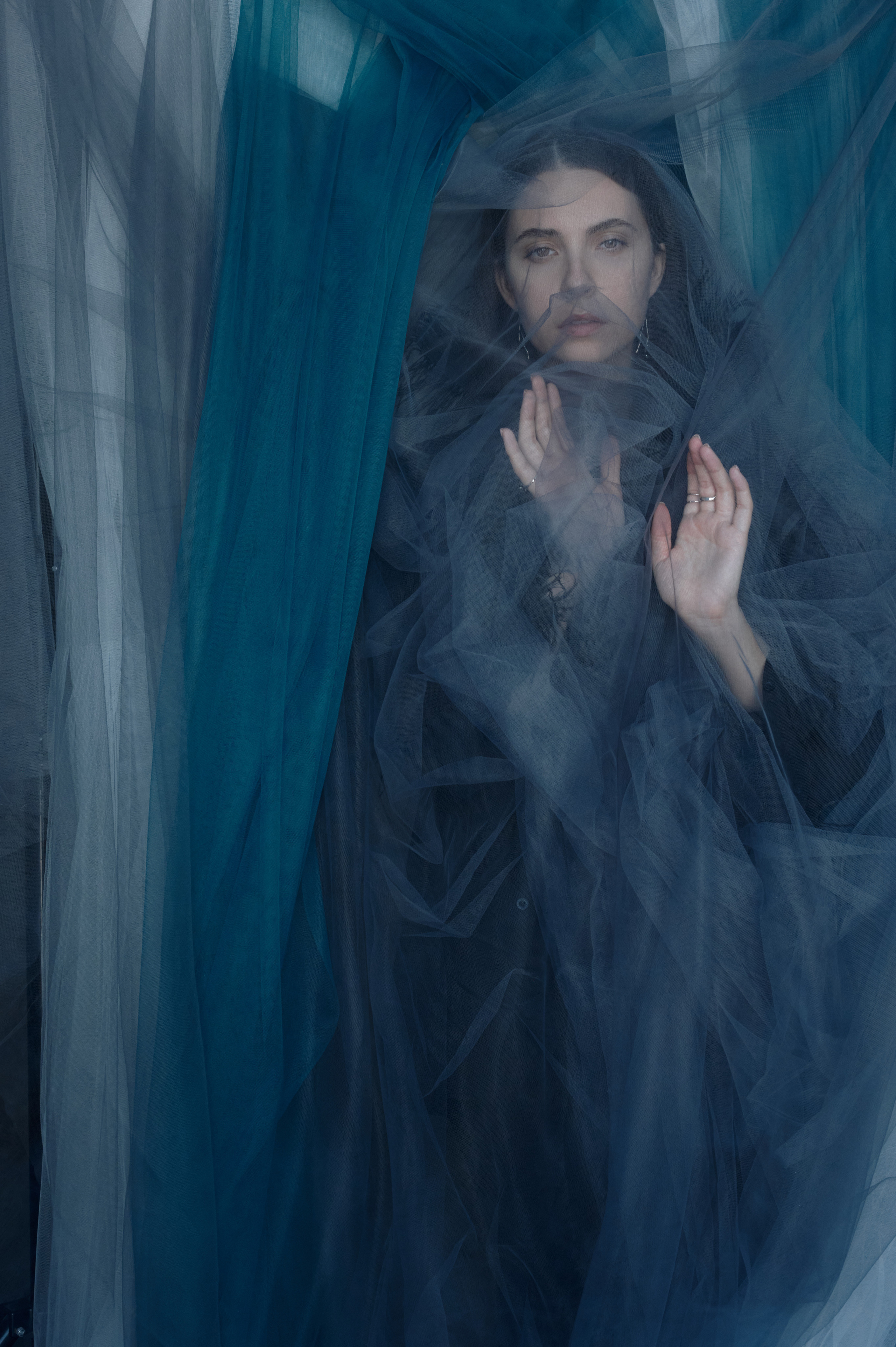 Райская птица. Главная