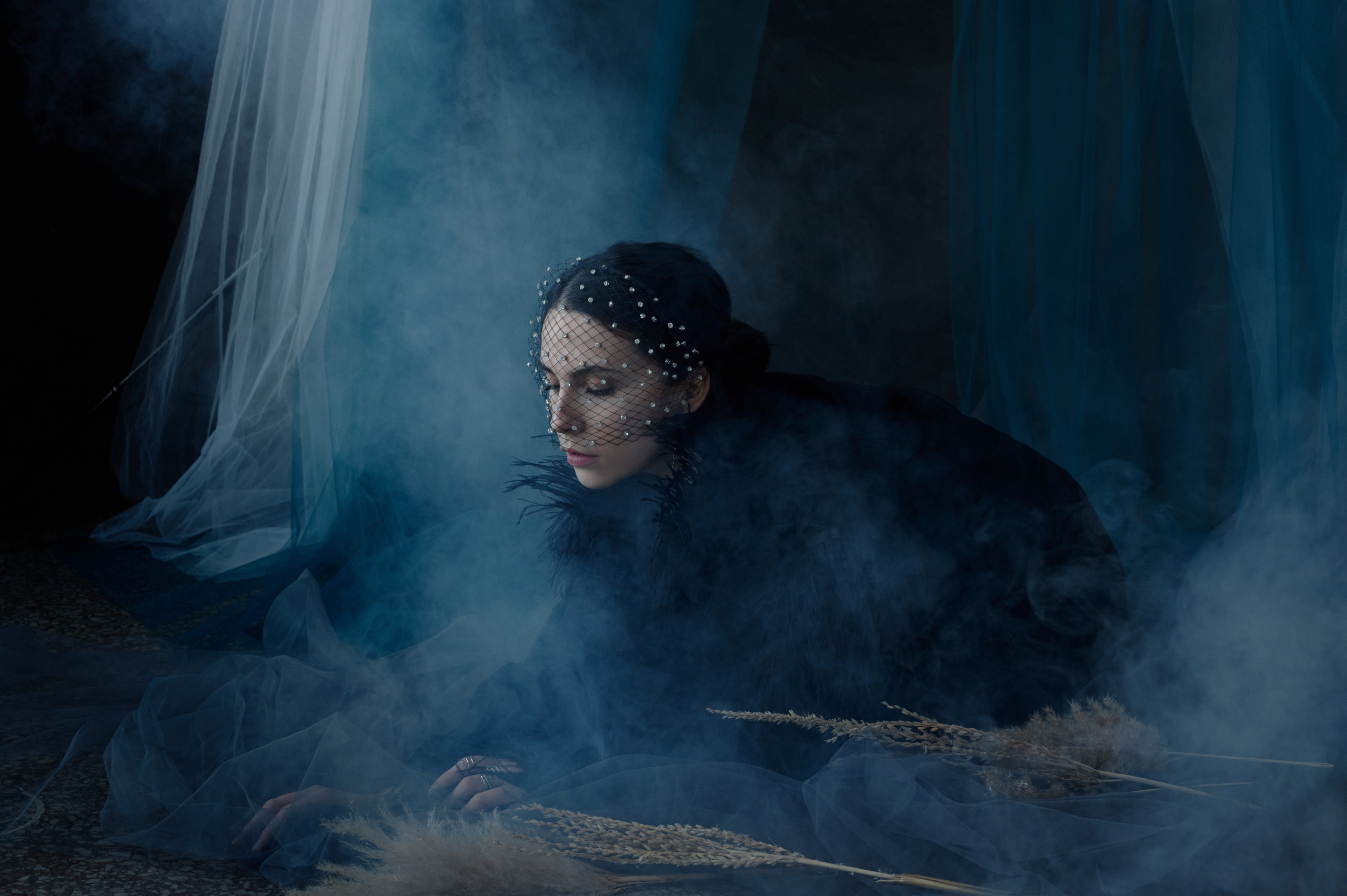 Райская птица. Главная