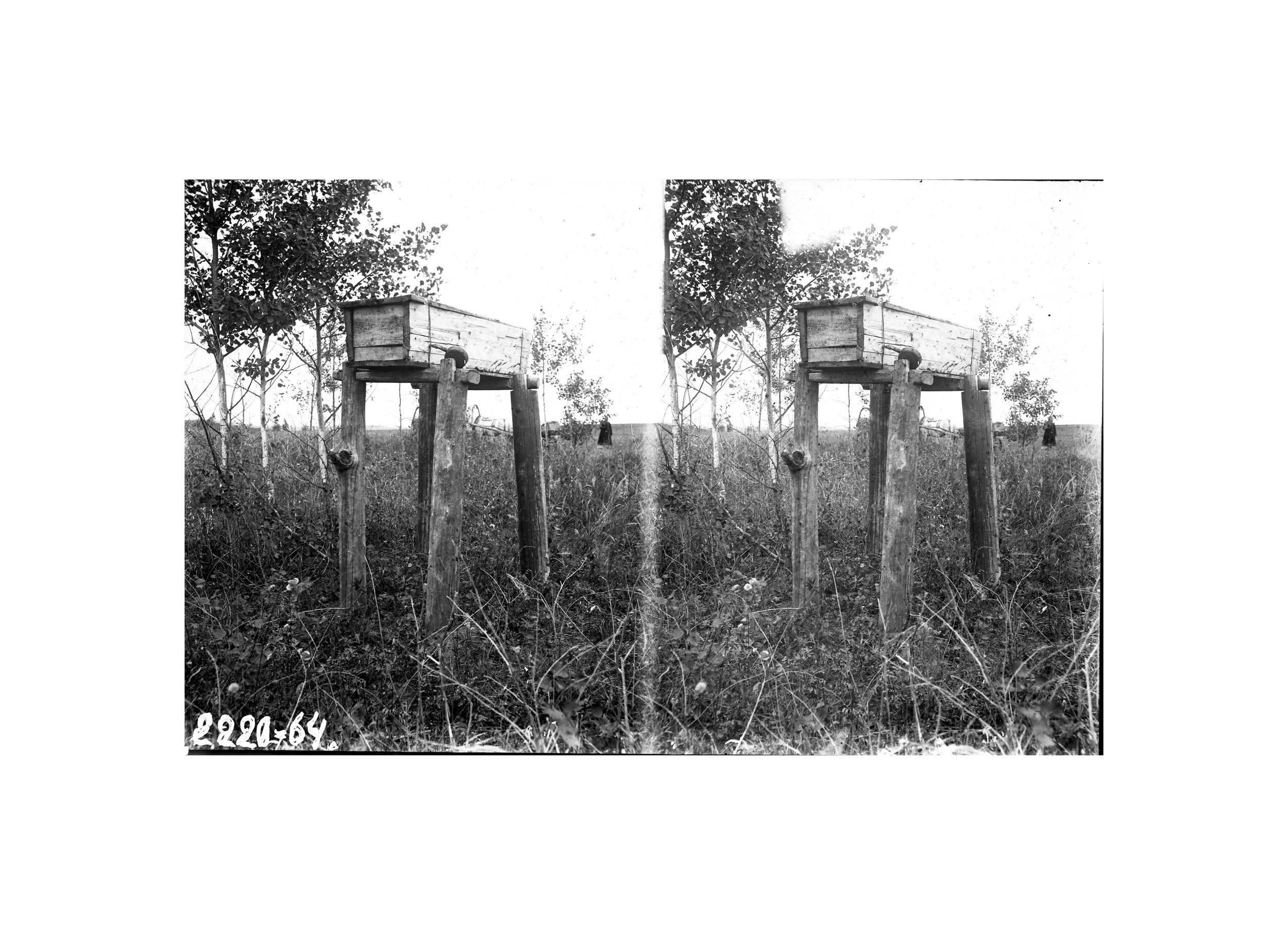 Проект Маргариты Галандиной «Ovoo». Private image