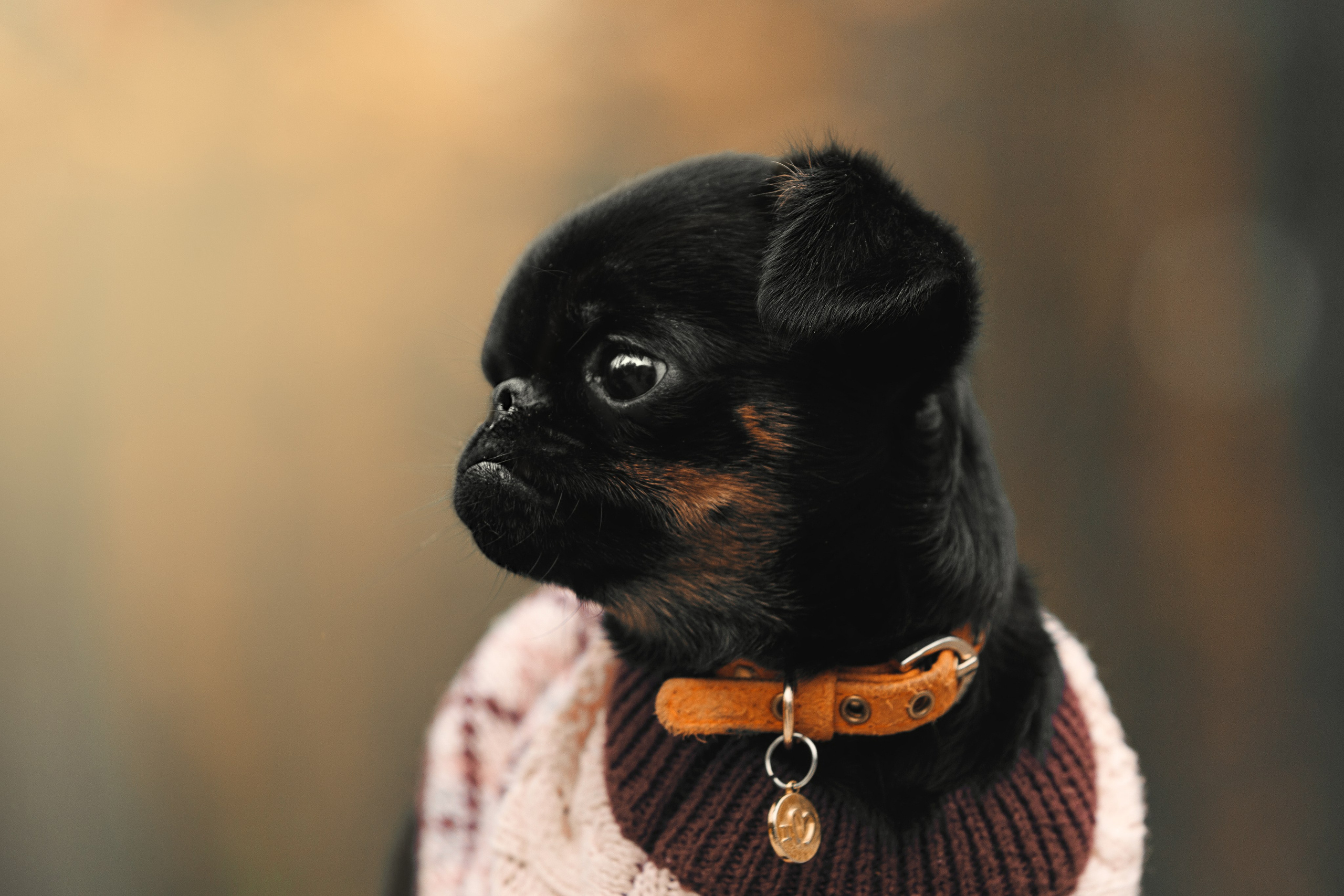 Фотограф анималист Кристина Карпова, Москва