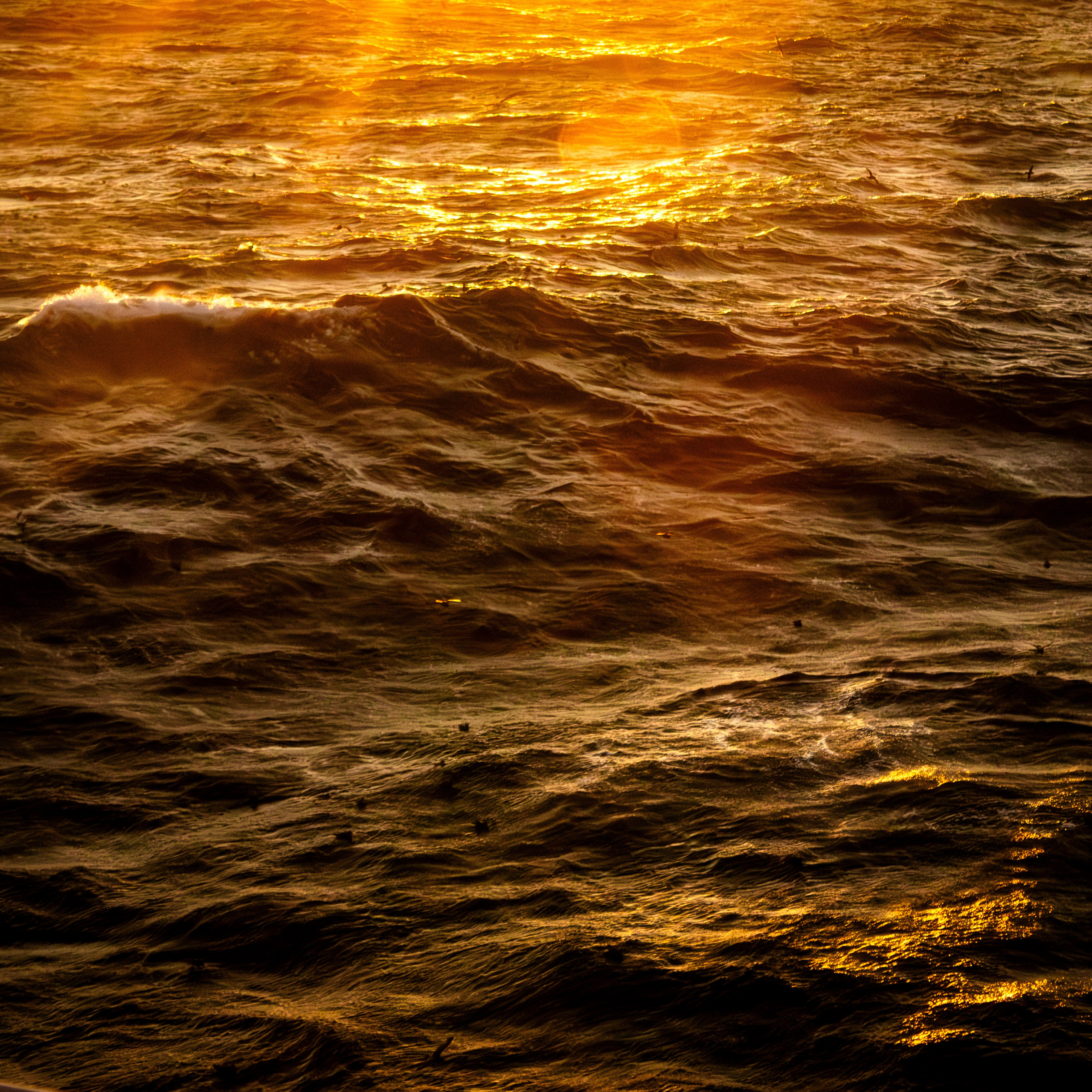 Когда я в море. Часть 1. Фотограф г. Владивосток