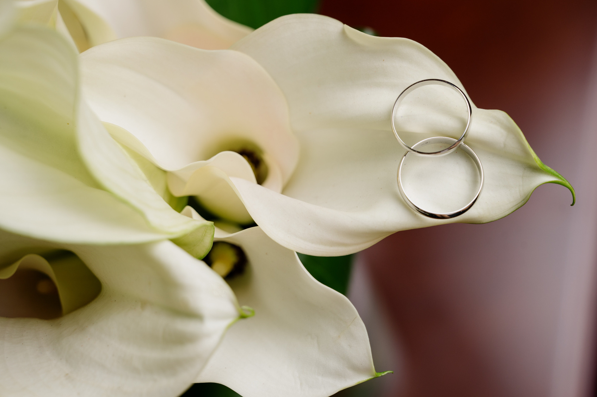 Вторая команда. Свадебный фотограф в Астрахани и Москве