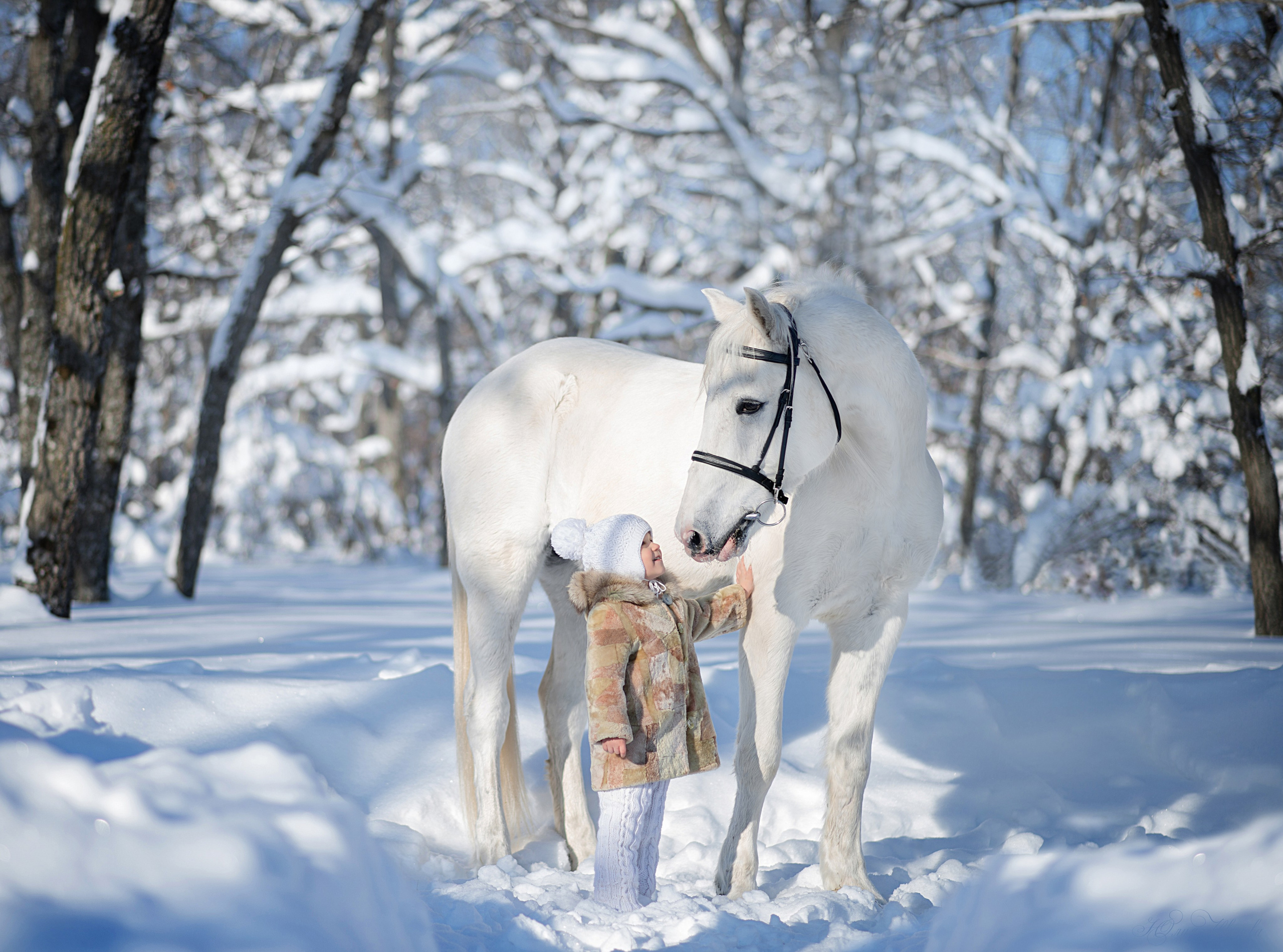 Дети и Каспиец. Конный фотограф в Саратове Юлия Иванова