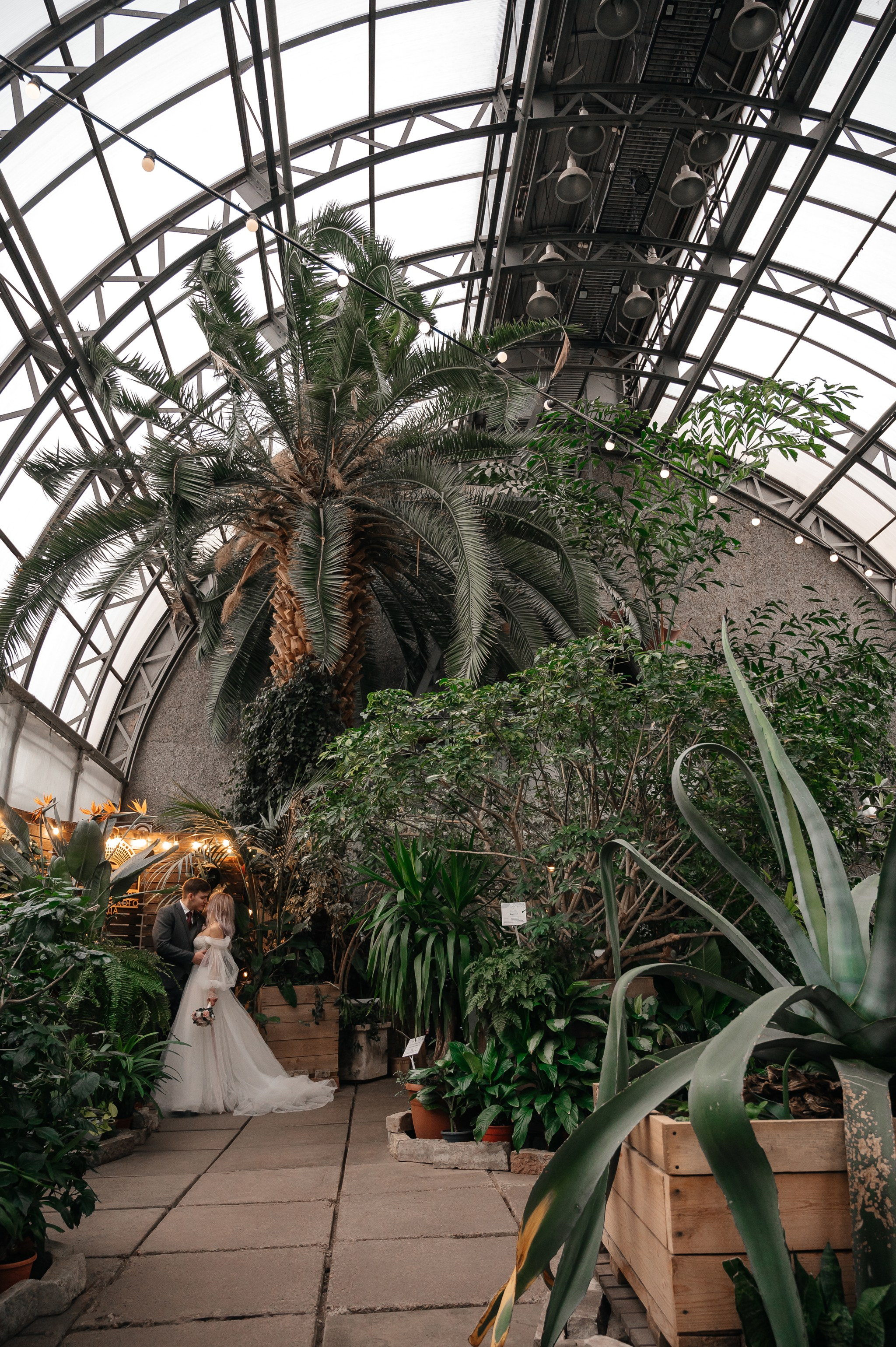 Оранжерея Таврического сада. Свадебный и семейный фотограф из Санкт-Петербурга Климов Анатолий