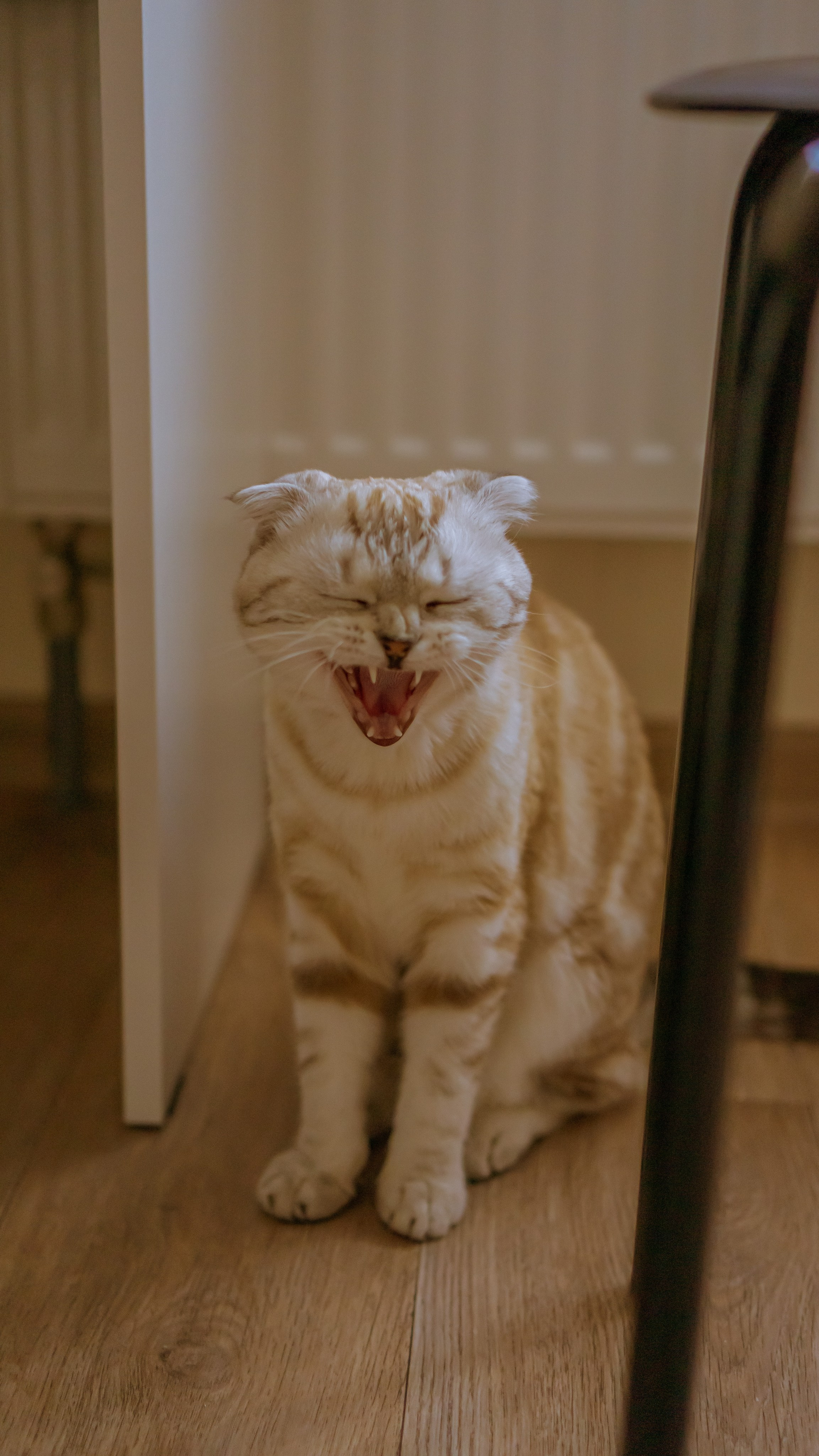 Ария. Фотограф в Кстово и Нижнем Новгороде KOLOSOK