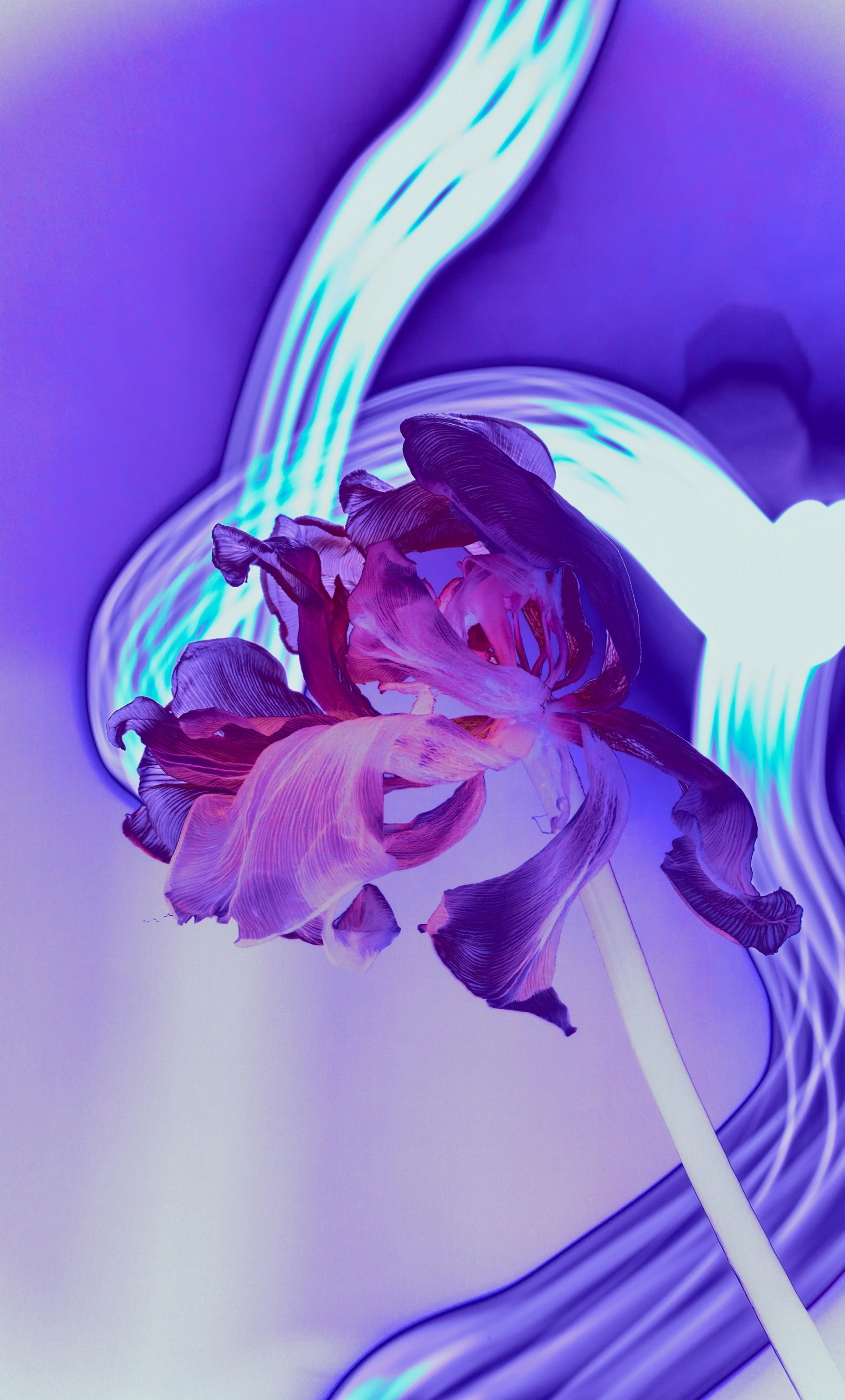 Интерьерные картины. Ангелина Журавлева Фотограф в Москве