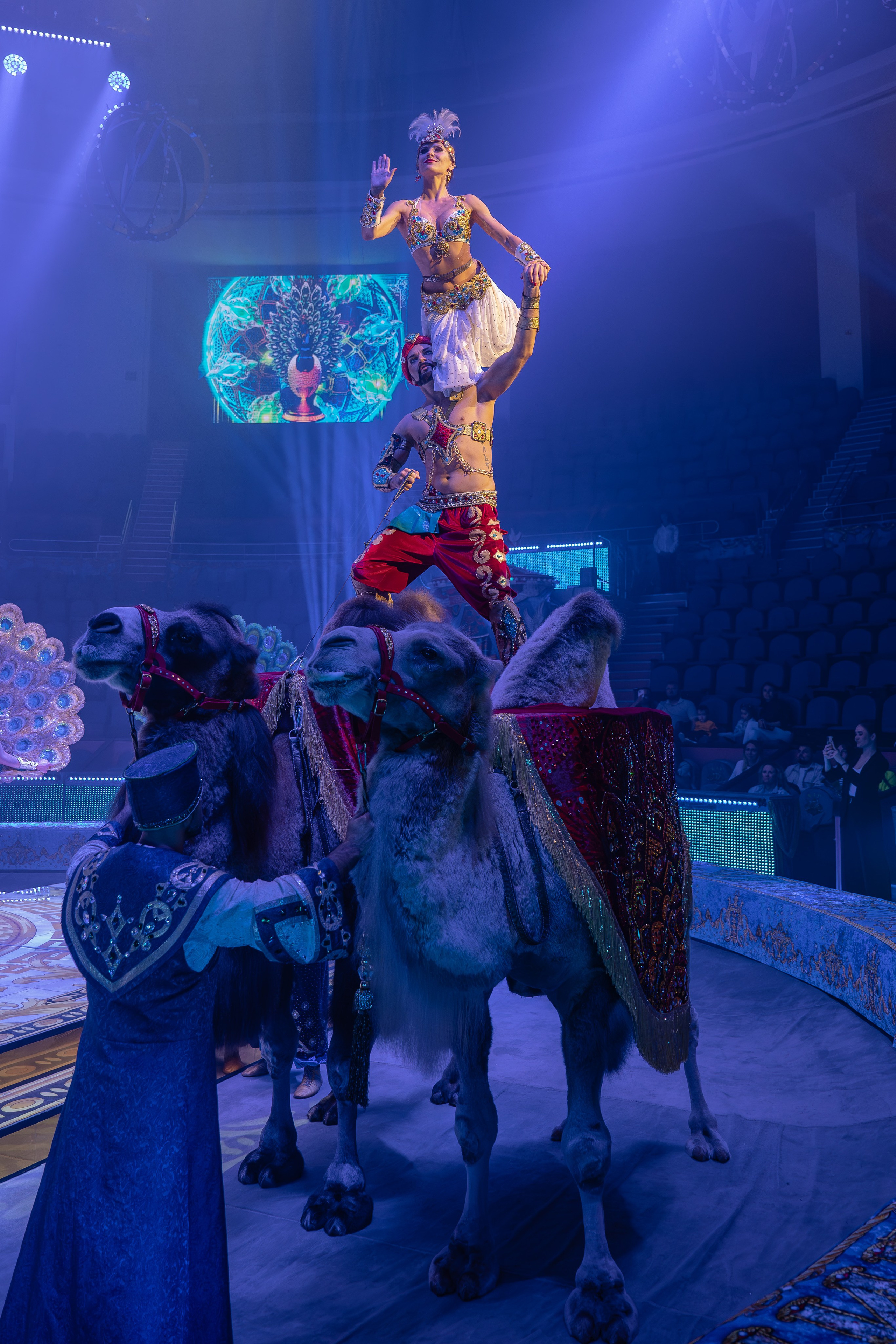 Цирк Гии Эрадзе. Наталья Слесаренко фотограф в Сочи