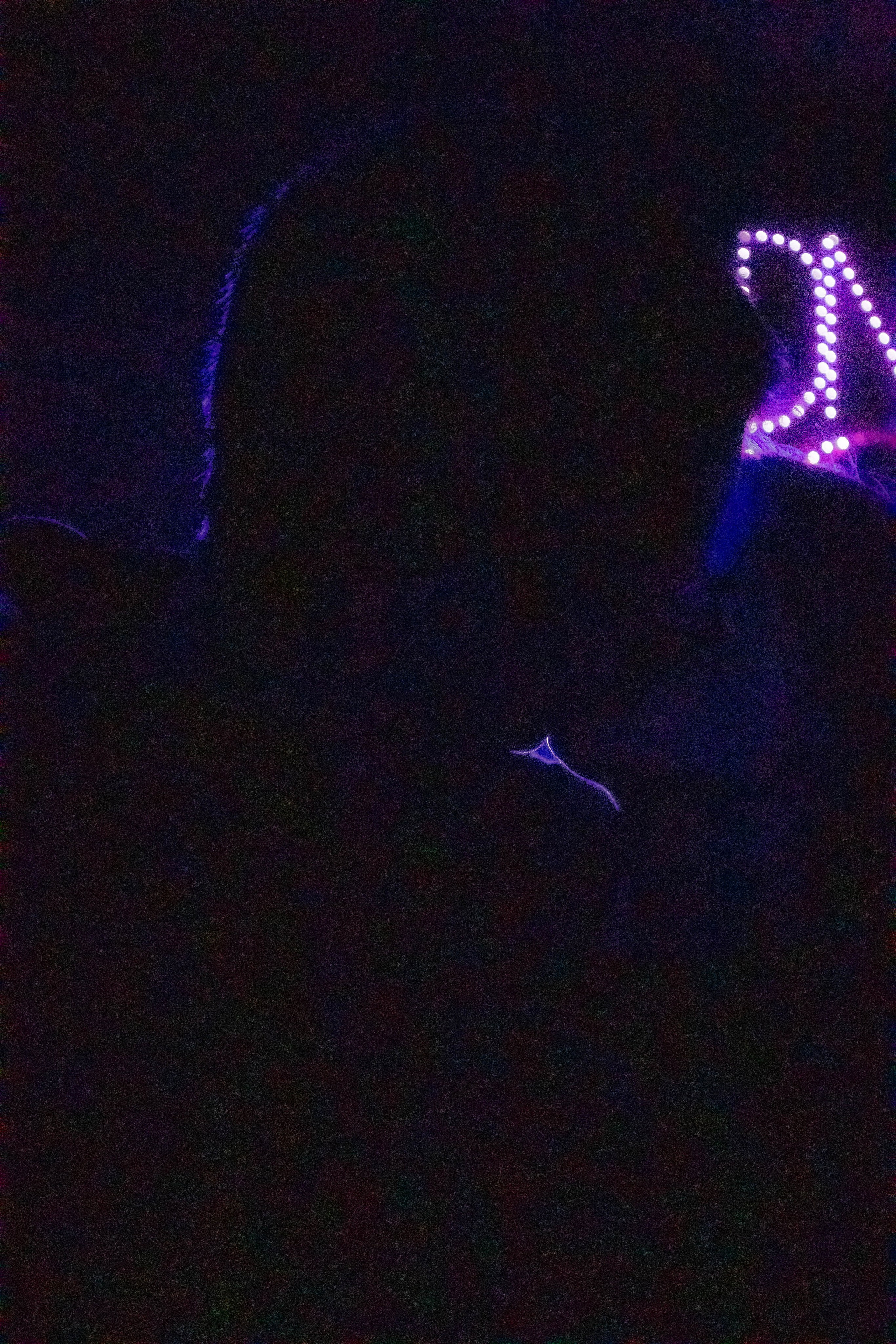 MOSHPIT. Фотограф и видеограф в Бугульме Аня Трутнева