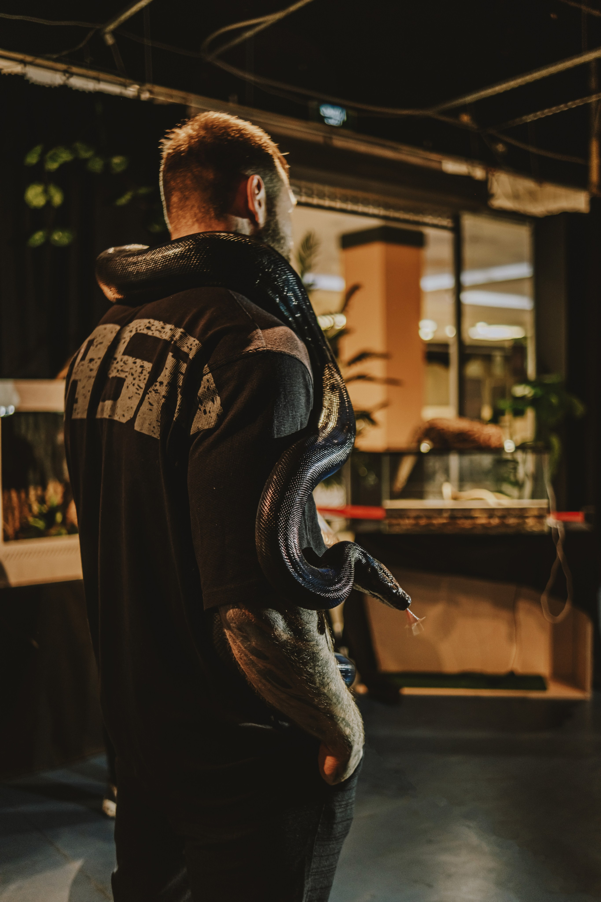 Дом Драконов. Nattie.ph