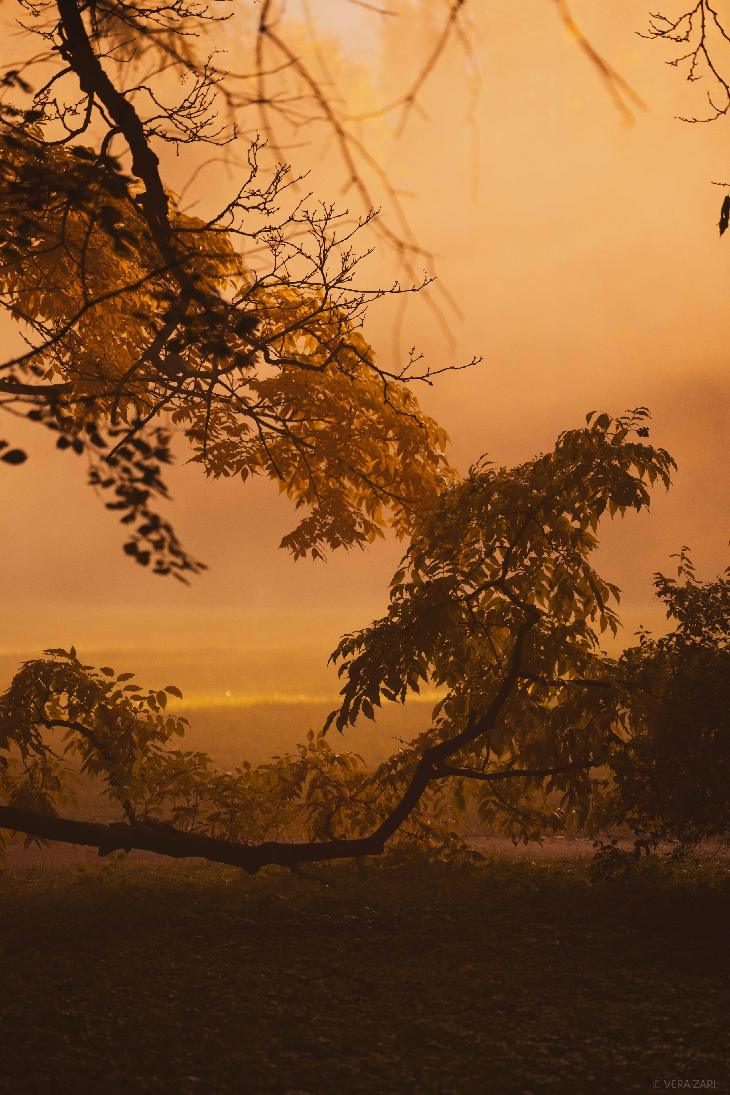 Творческие съемки. Фотограф в Санкт-Петербурге (портрет, индивидуальные, творческие съемки, каталог)