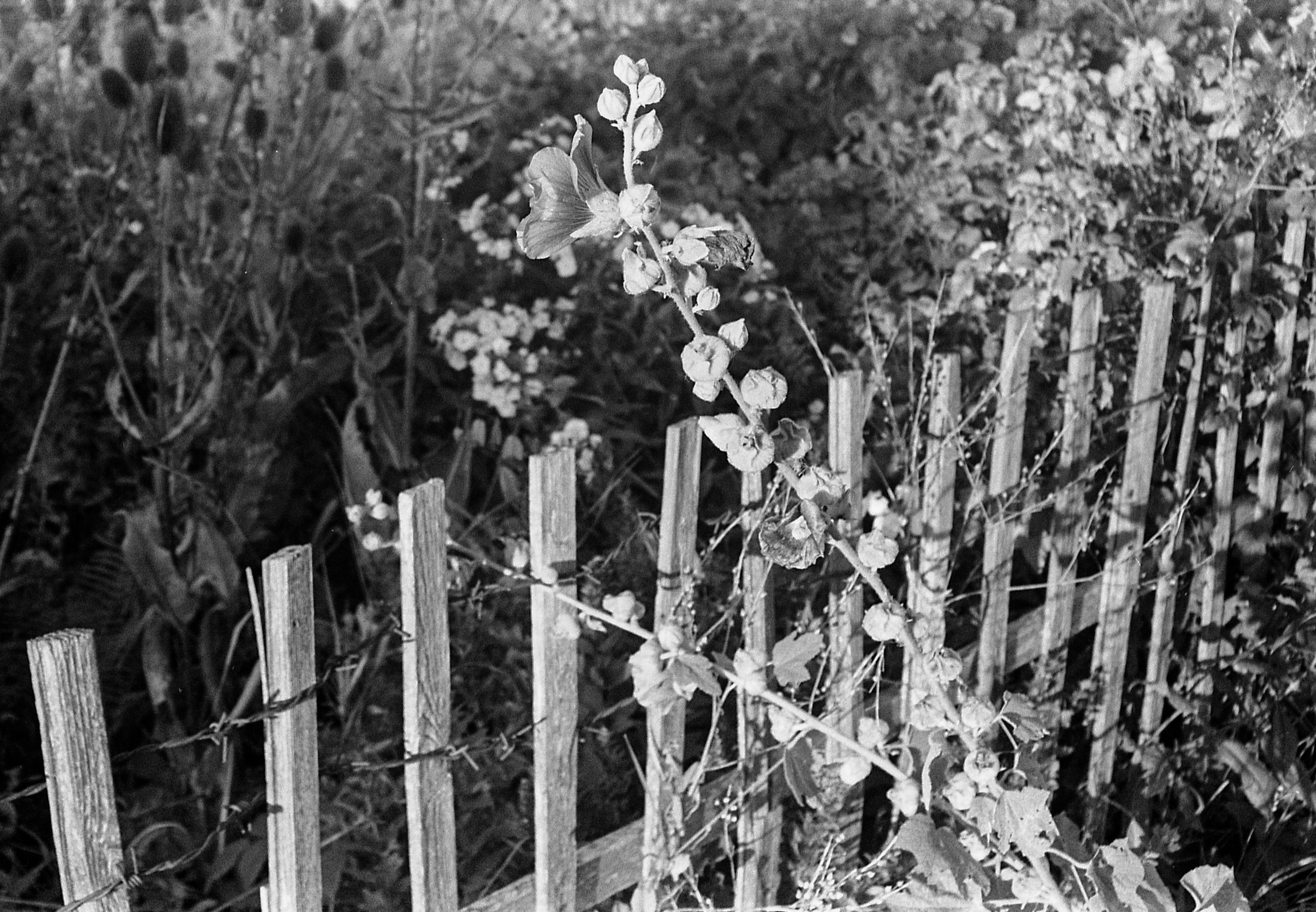 Окраины. Works