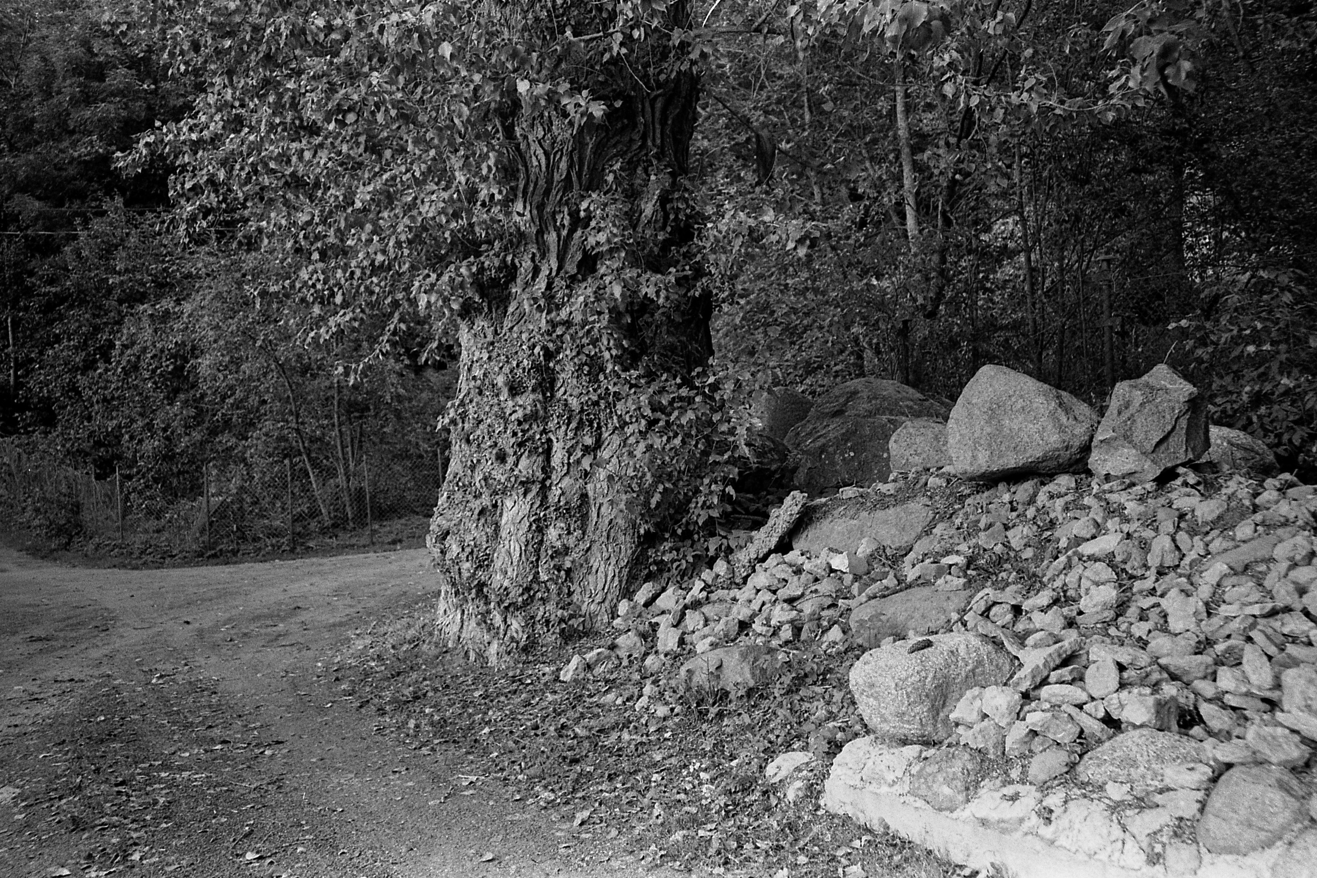 Окраины. Works