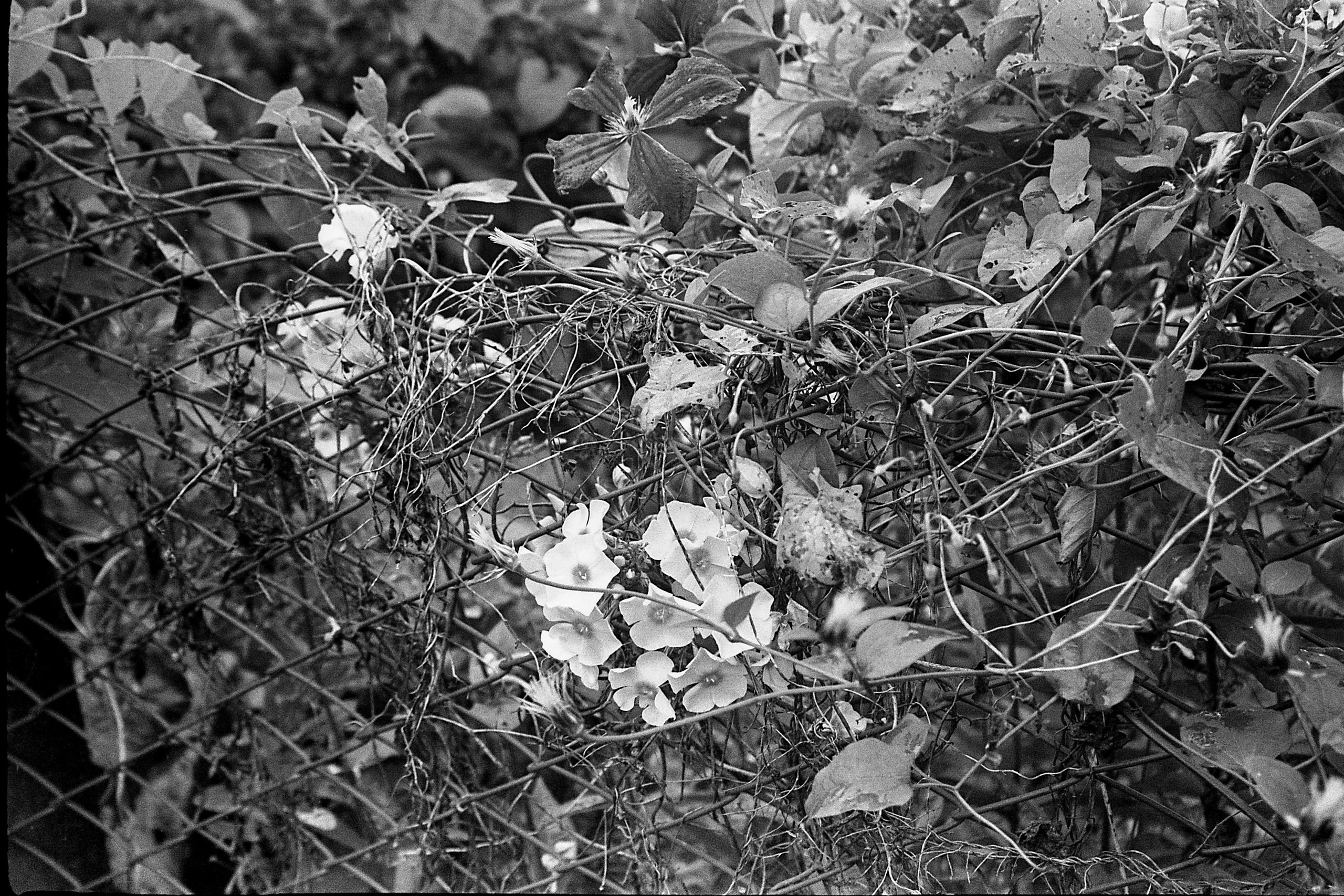 Окраины. Works