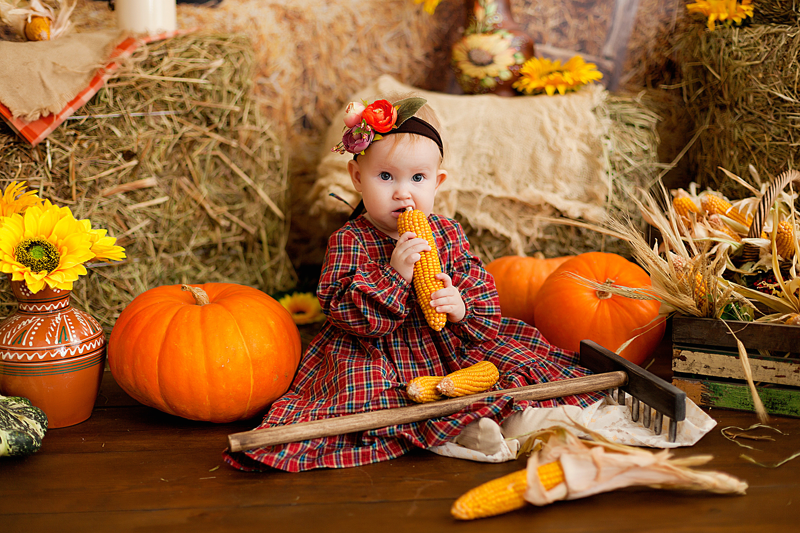 Детская фотосессия детей до 7 лет. Фотограф новорожденных и детей до года в Новосибирске Ka