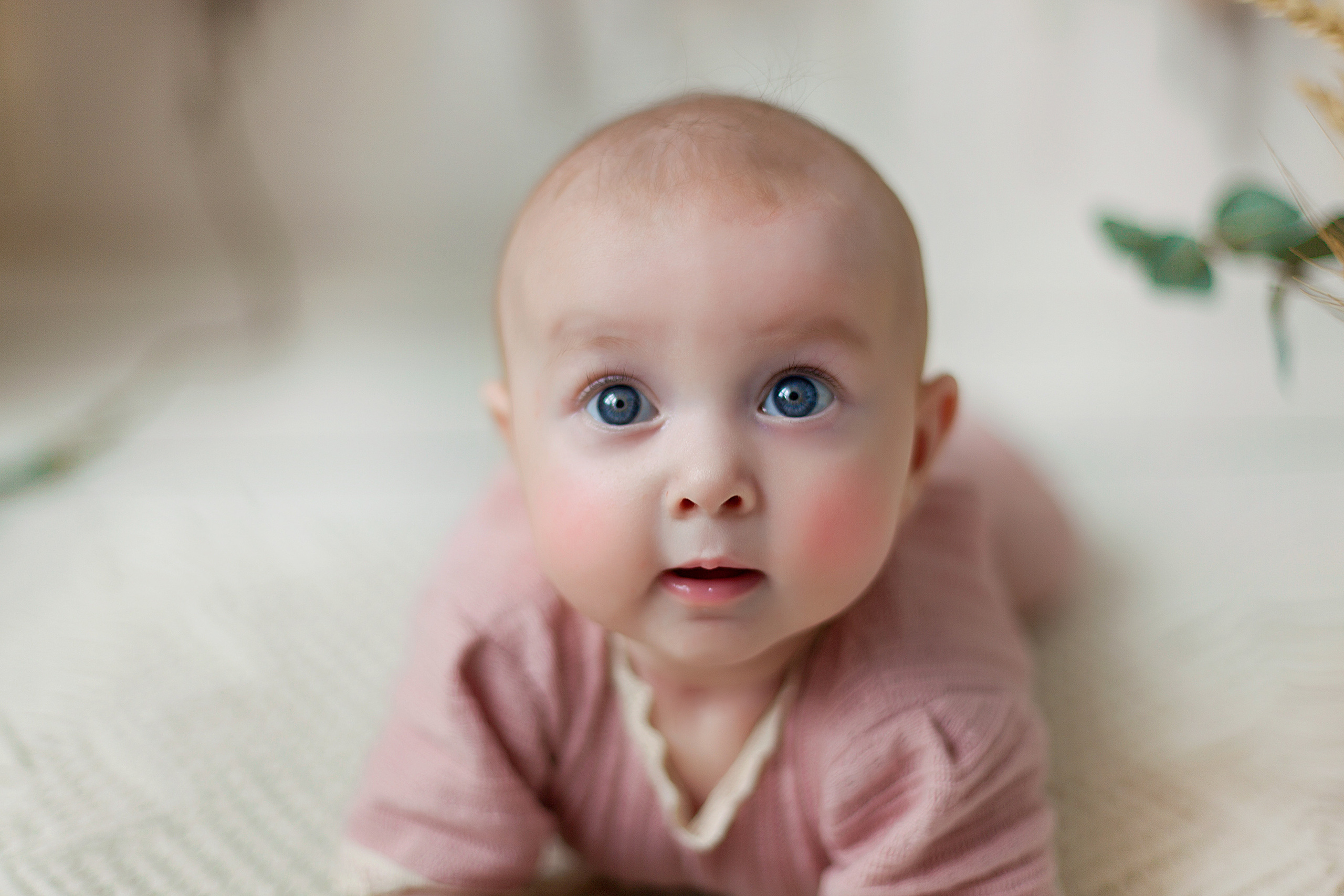 Детская фотосессия детей до 7 лет. Фотограф новорожденных и детей до года в Новосибирске Ka