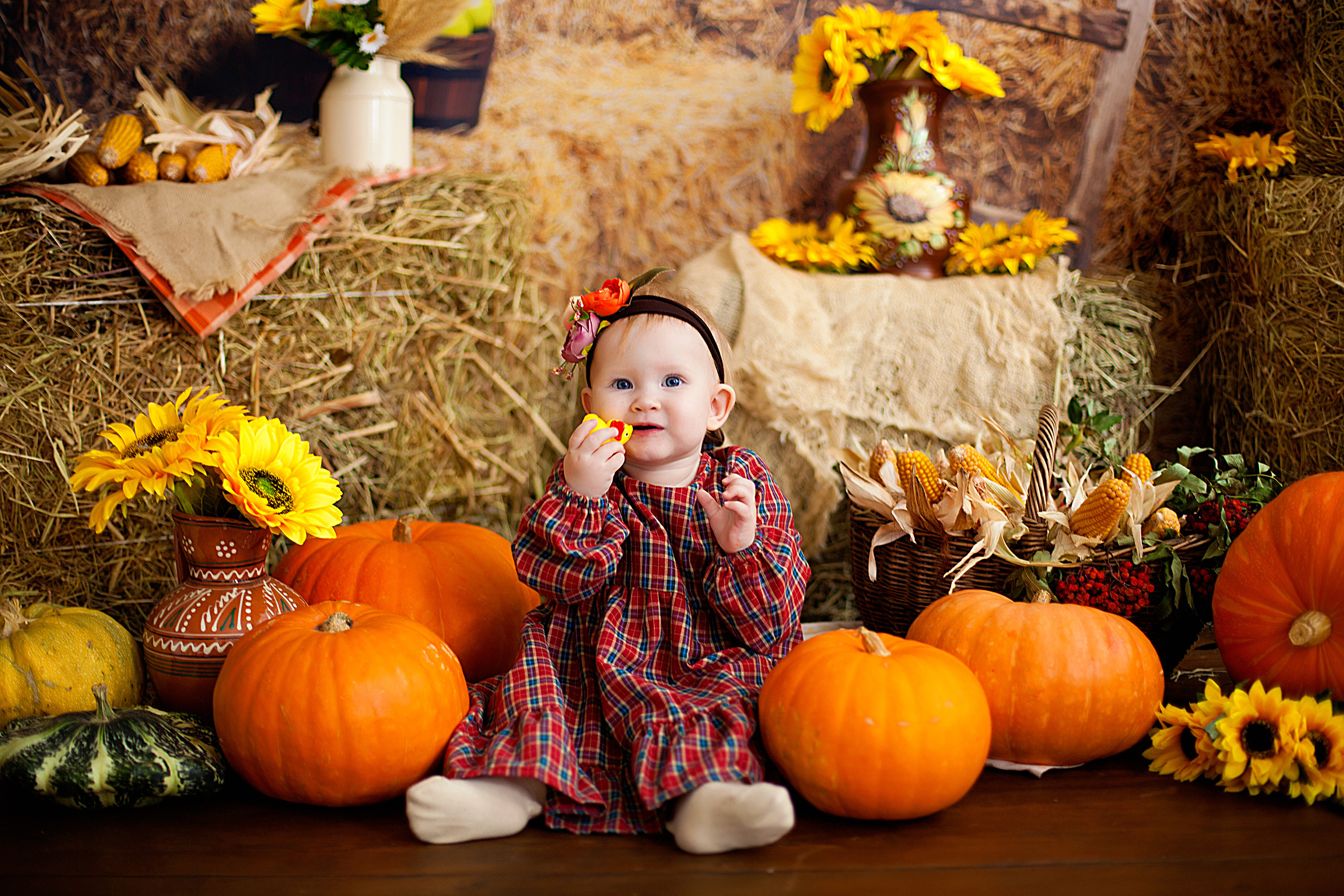 Детская фотосессия детей до 7 лет. Фотограф новорожденных и детей до года в Новосибирске Ka