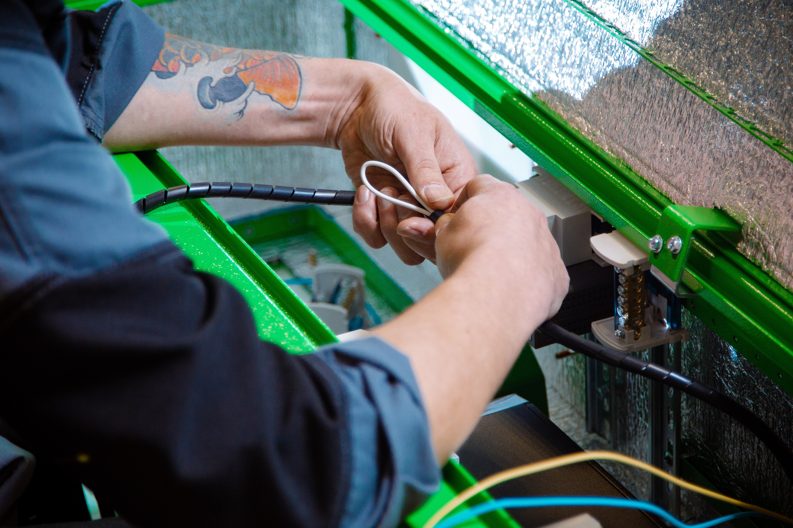 Commercial/Business. Brutalraw Territory