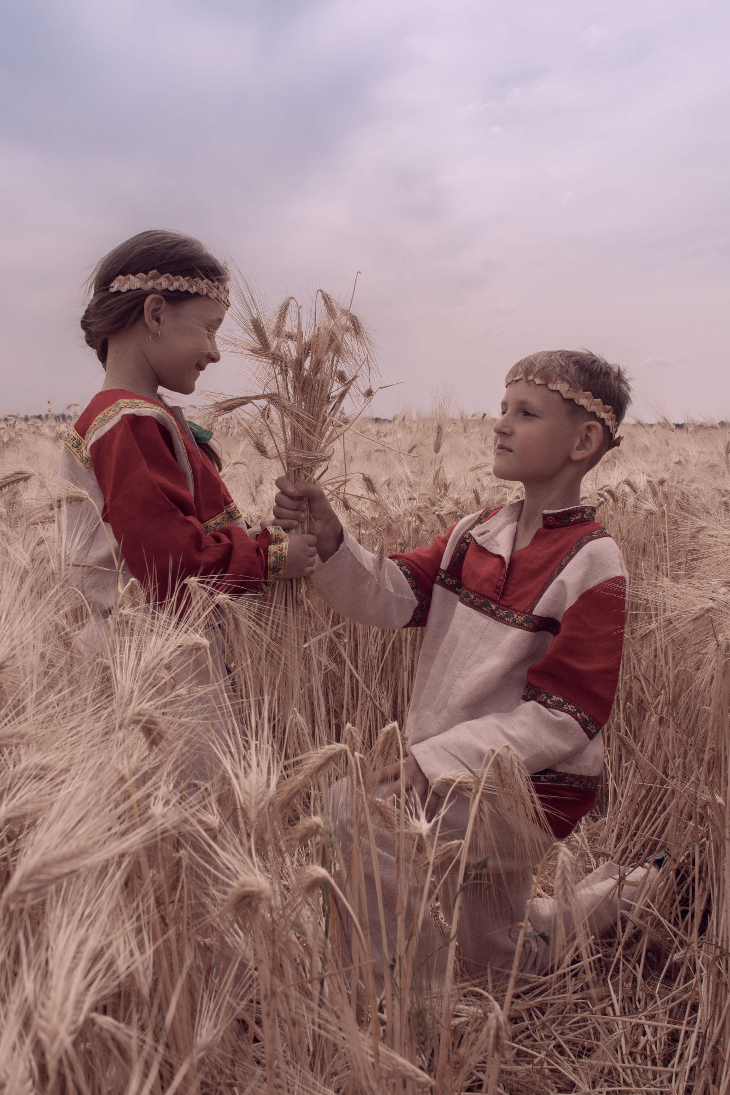 Поле золотое