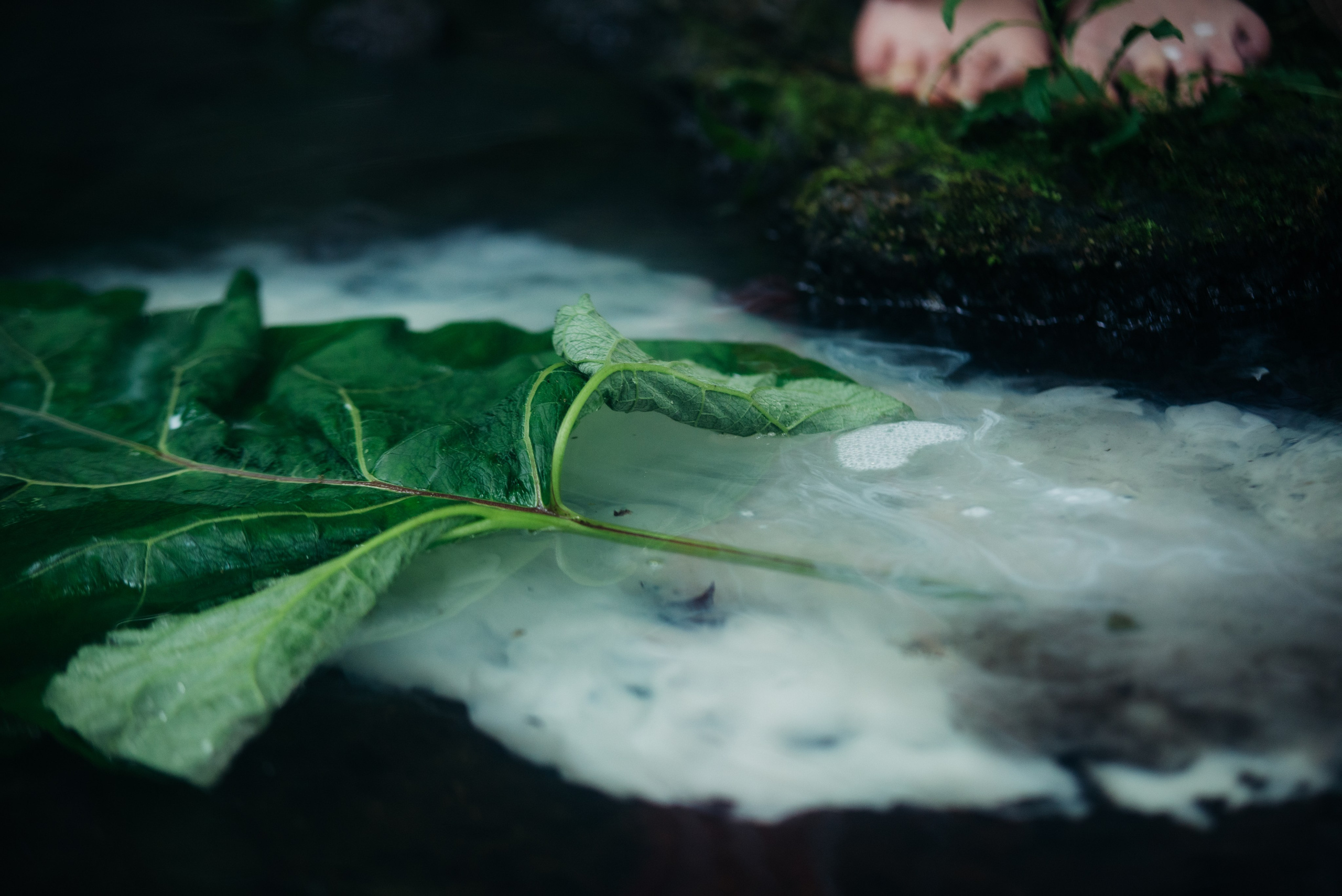 Красное на зелёном. Репортажный и портретный фотограф в Липецкой, Воронежской, Московской области Тёма Белоусов