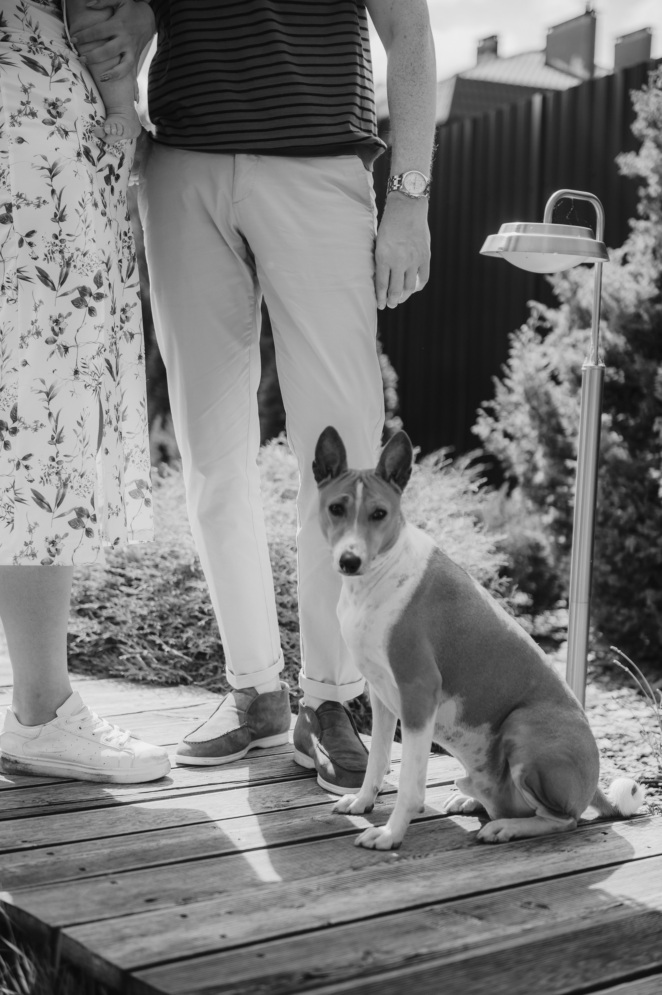 Юля, Вова, Рома и их хвостики (Щелково, 2024). Анна Пушина, фотограф, Москва, Королев, Пушкино