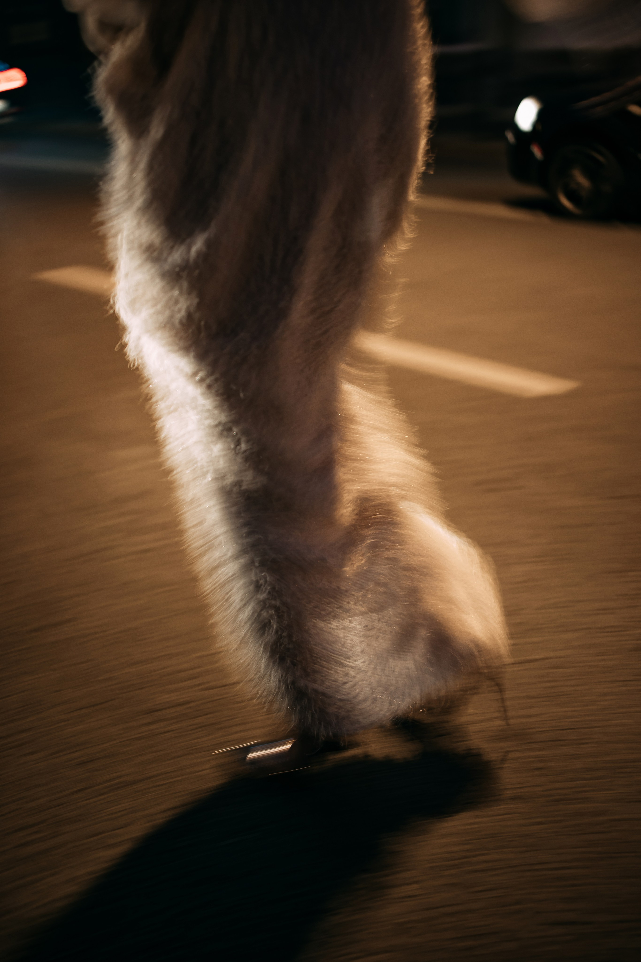 Rafael & Adelina. Romanovs | Свадебный фотограф и видеограф Чебоксары Казань Москва