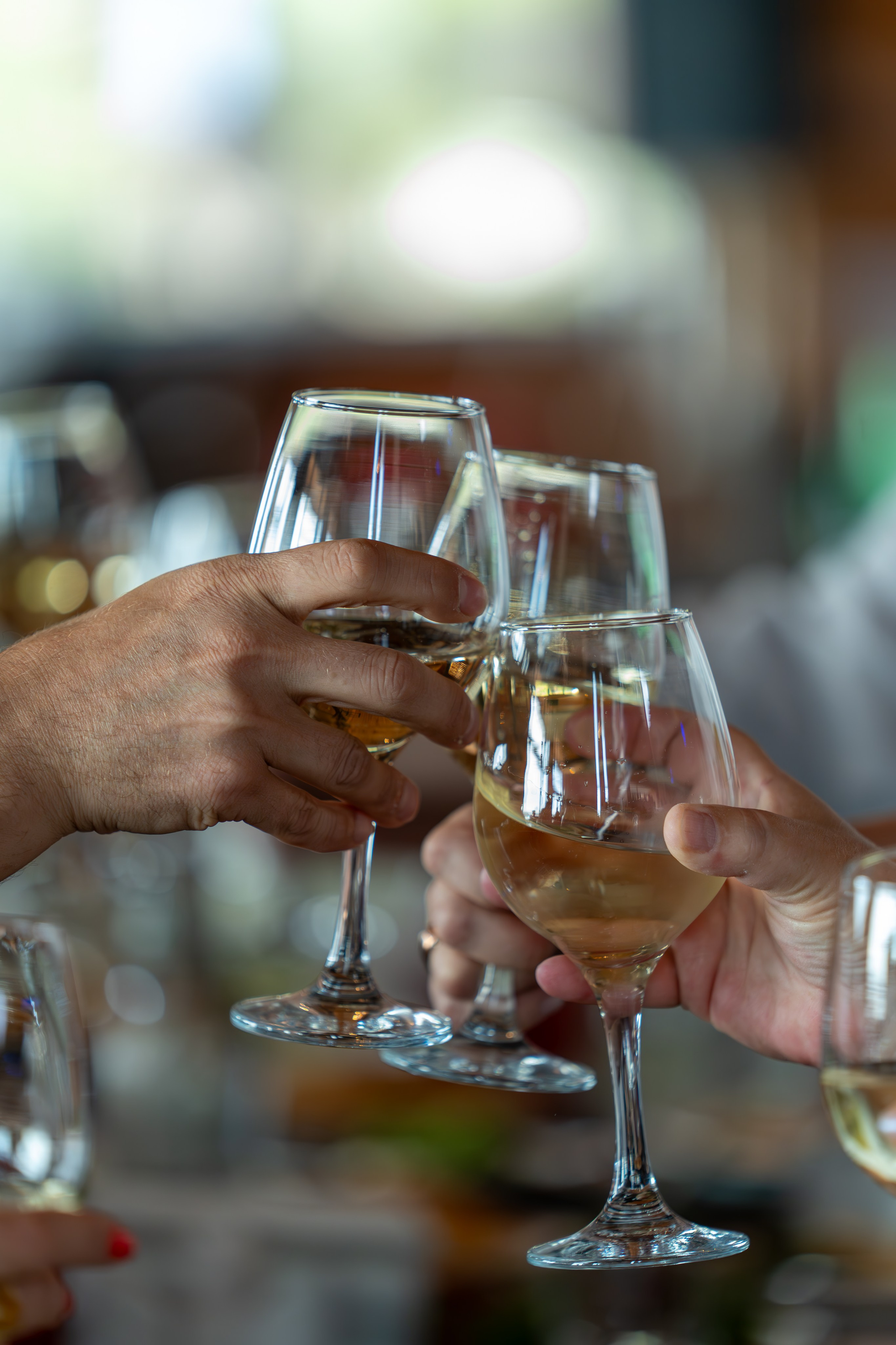 MICE мероприятие — тур по Абхазии. Репортажный фотограф в Красной Поляне и Сочи Павлюченко Екатерина