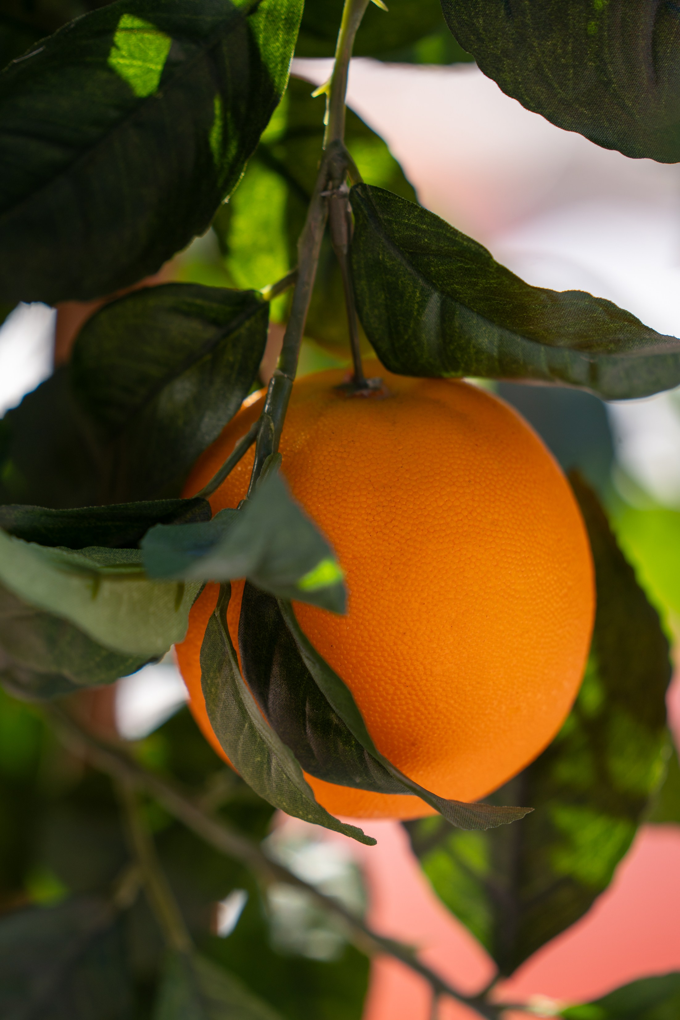 Фотоотчет партнерской интеграции Aperol Spritz на Роза Фест 2025. Репортажный фотограф в Красной Поляне и Сочи Павлюченко Екатерина