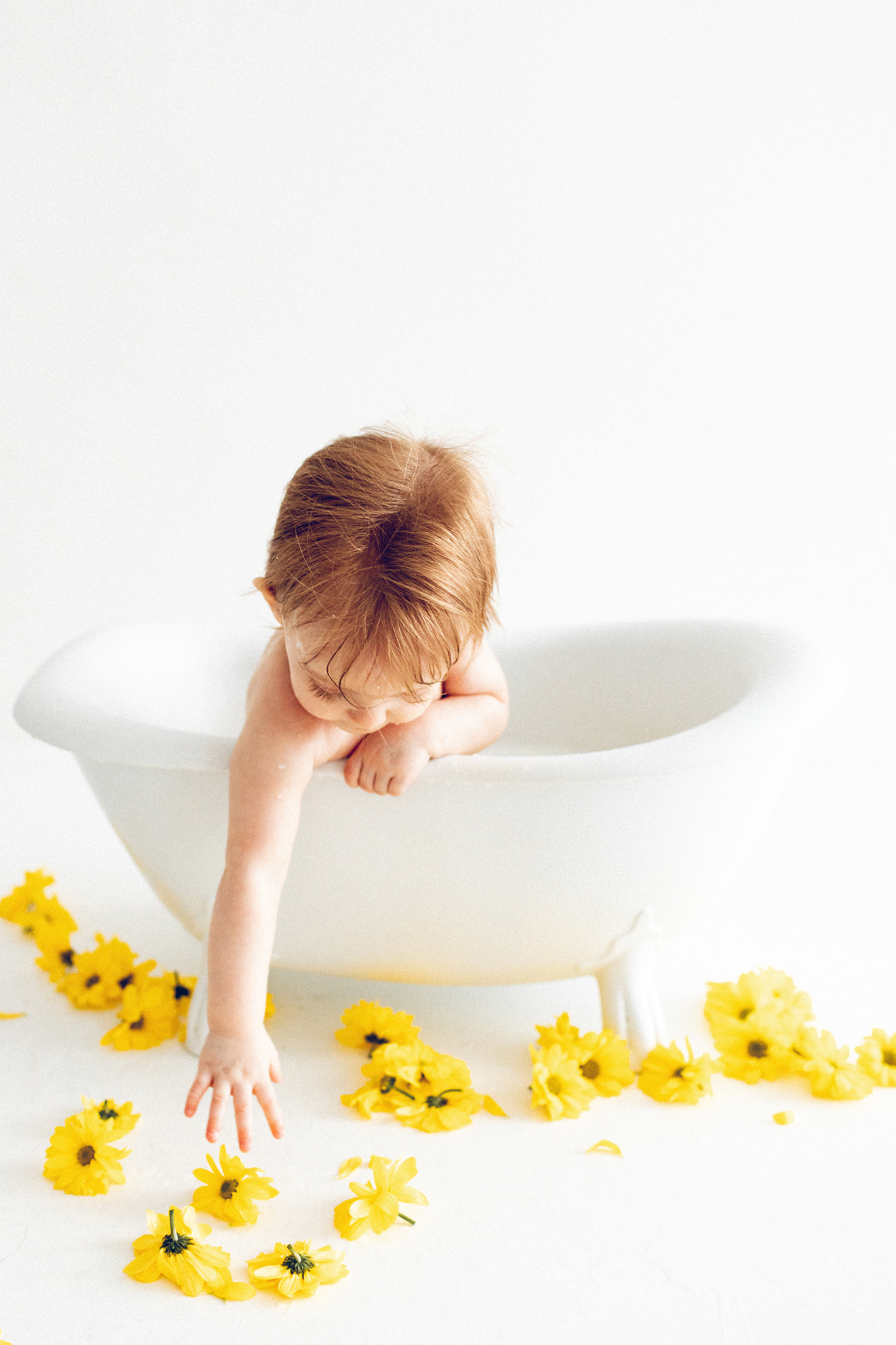 первый день рождения идеи