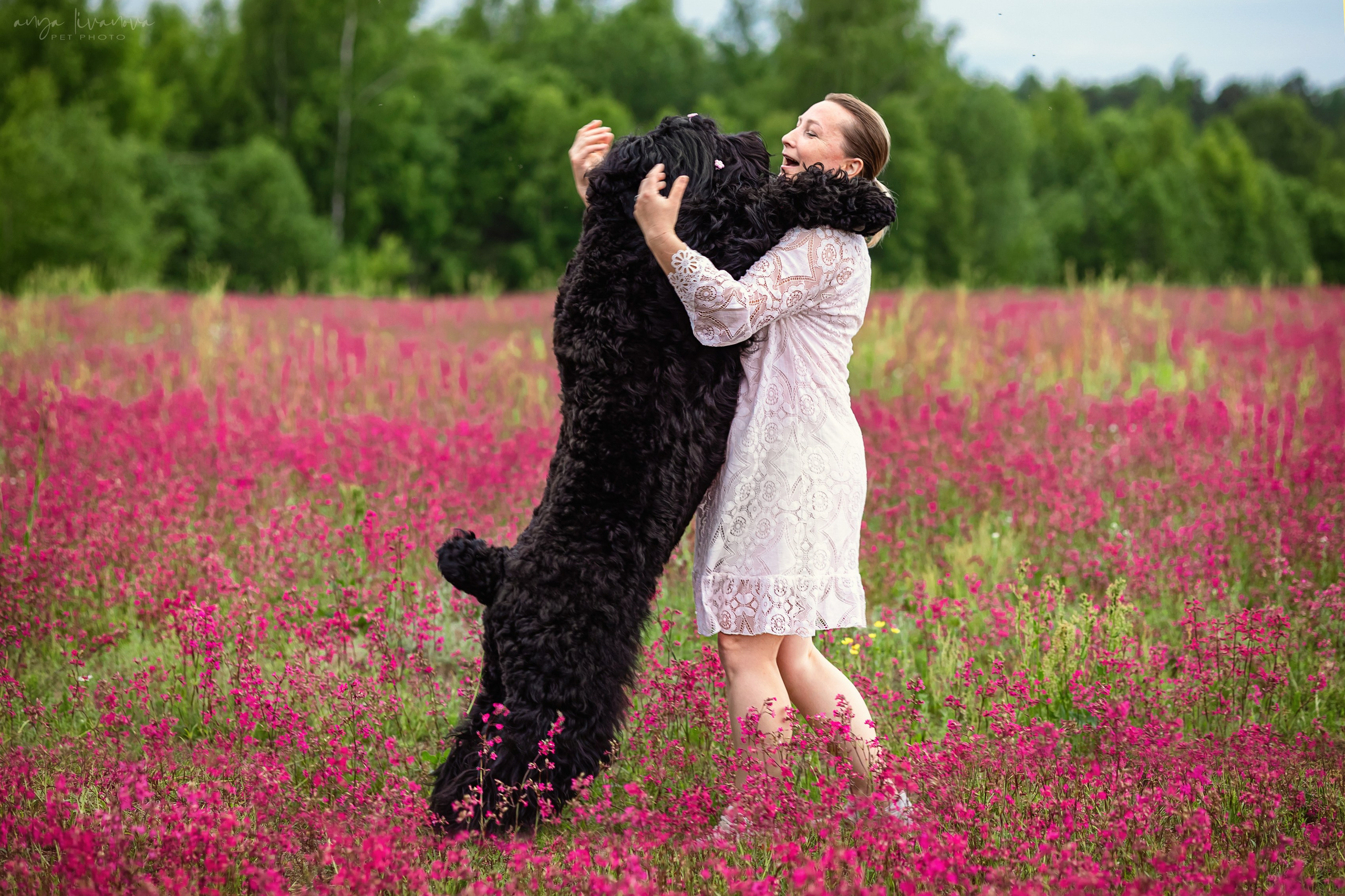 Смолка клейкая. Фотограф анималист Аня Ливанова | Рыбинск