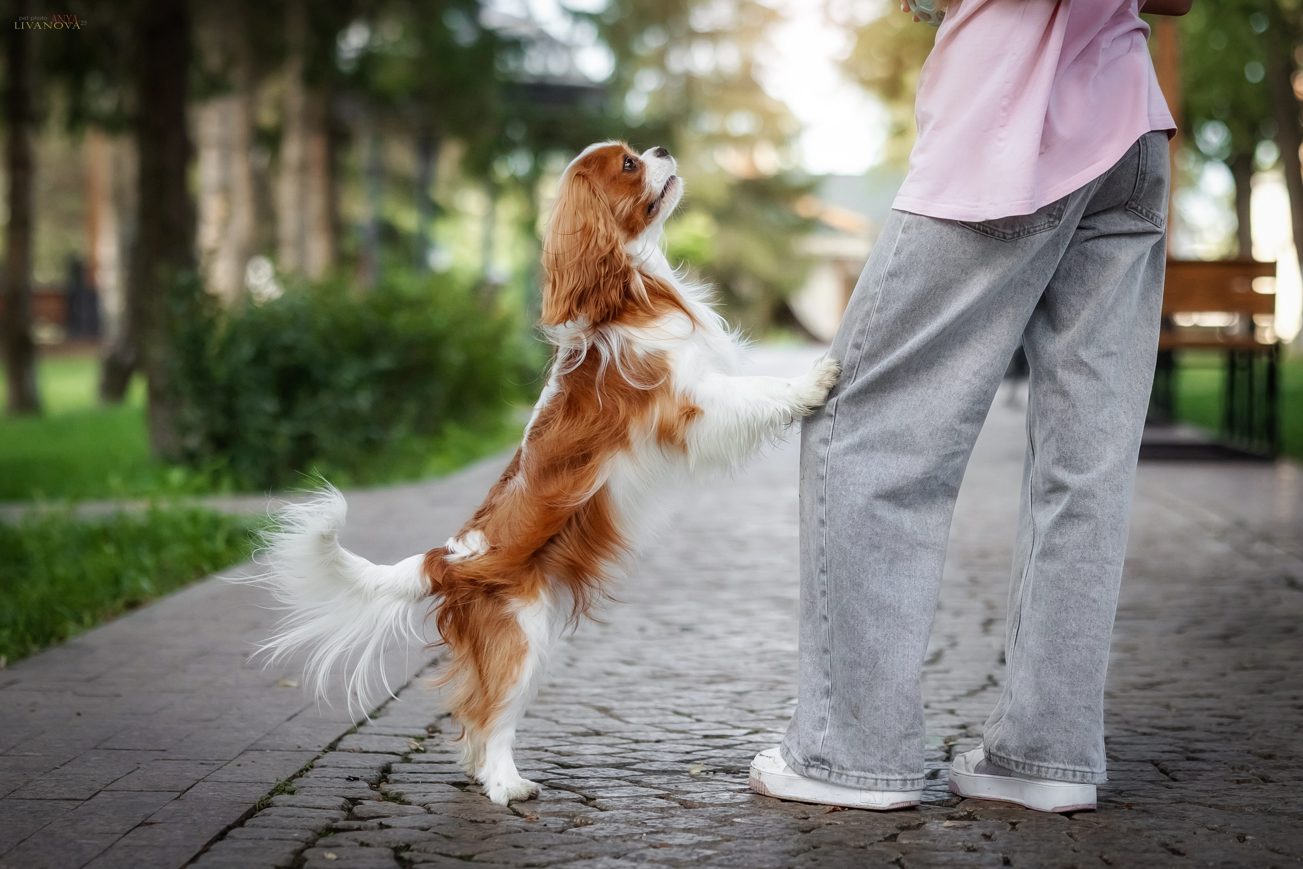 Маруся и Энди. Фотограф анималист Аня Ливанова | Рыбинск
