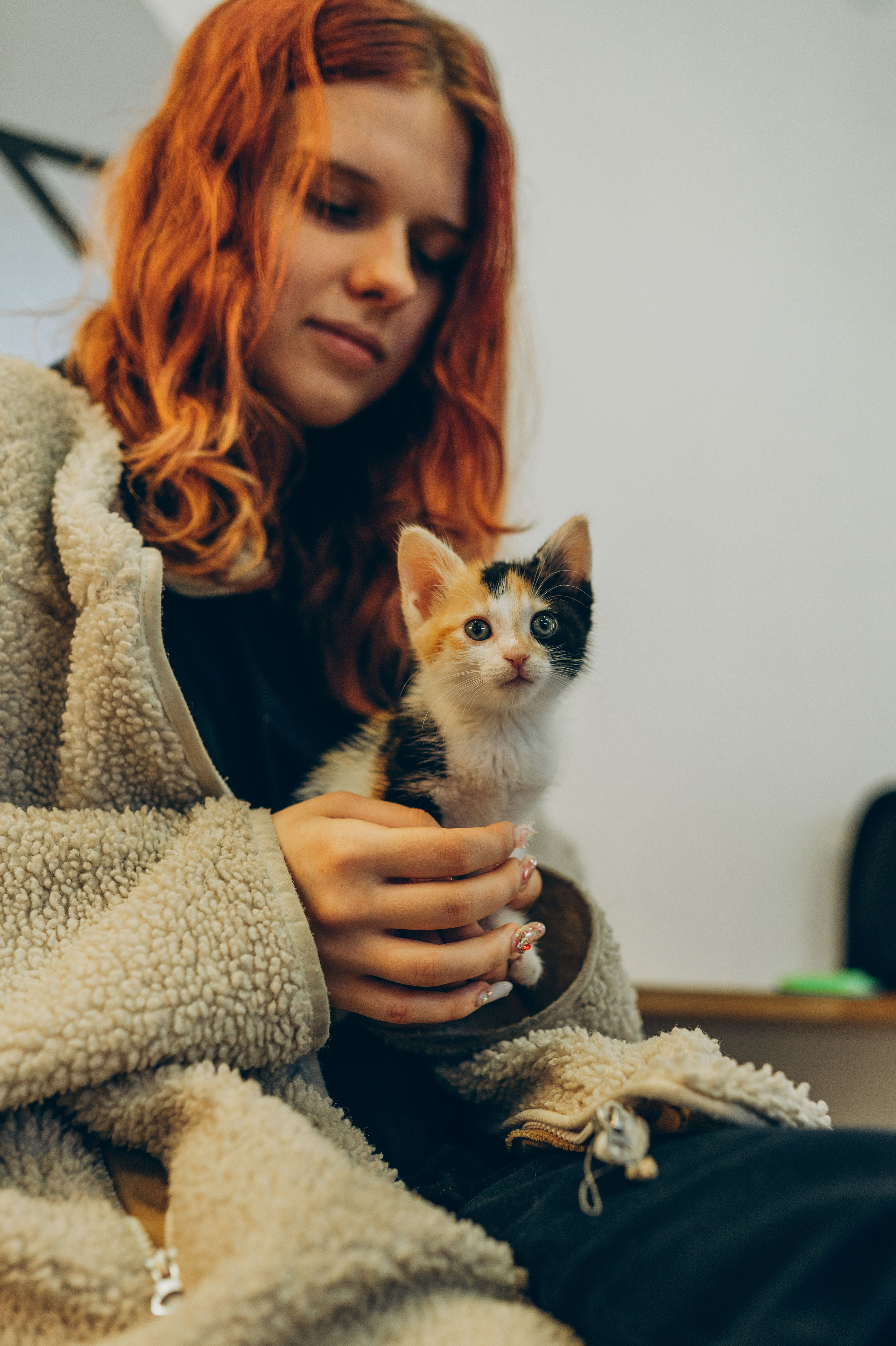 Соник. Фотограф анималист в Спб недорого Олеся Майорова