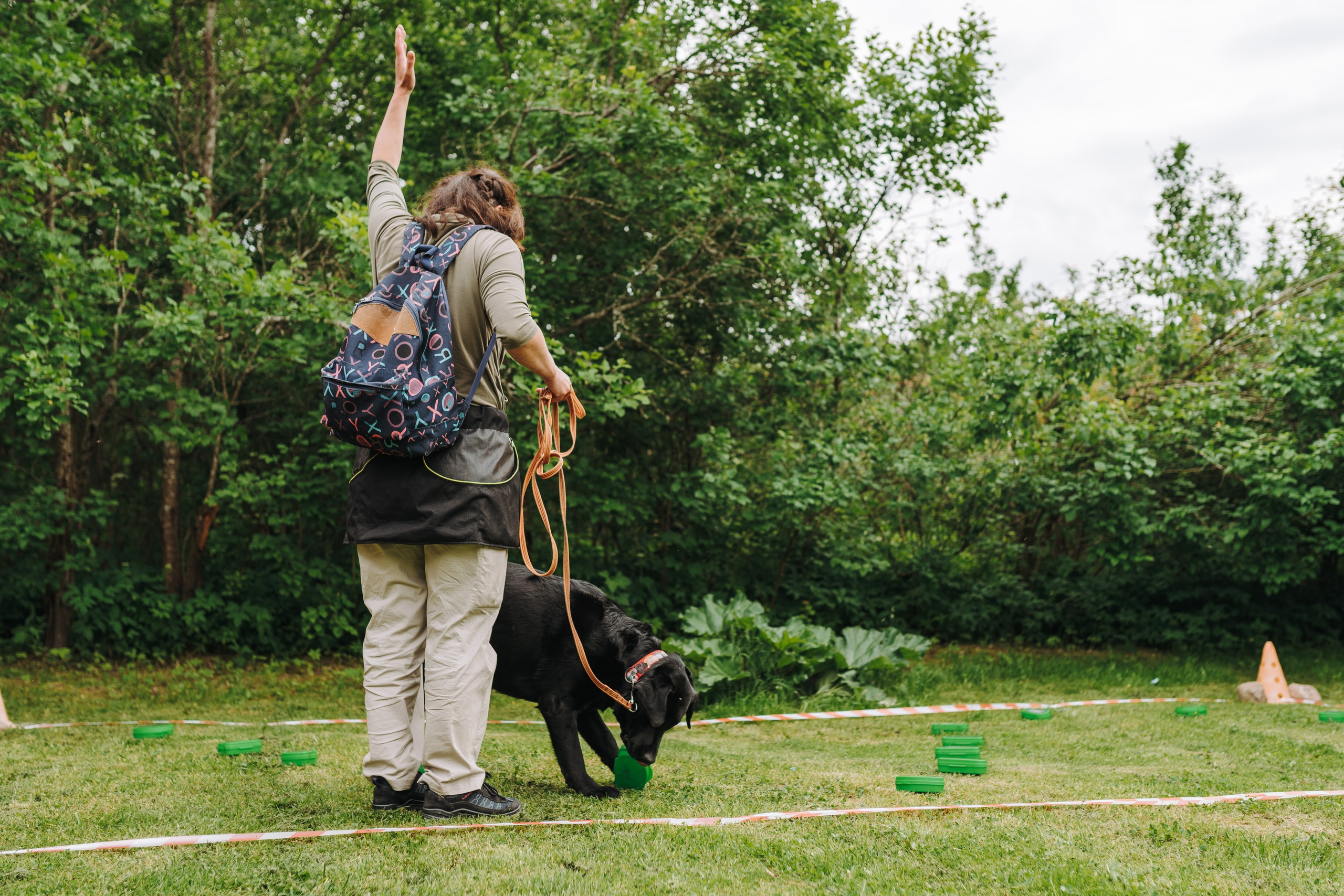Соревнования по ноузворку. Фотограф анималист в Спб недорого Олеся Майорова