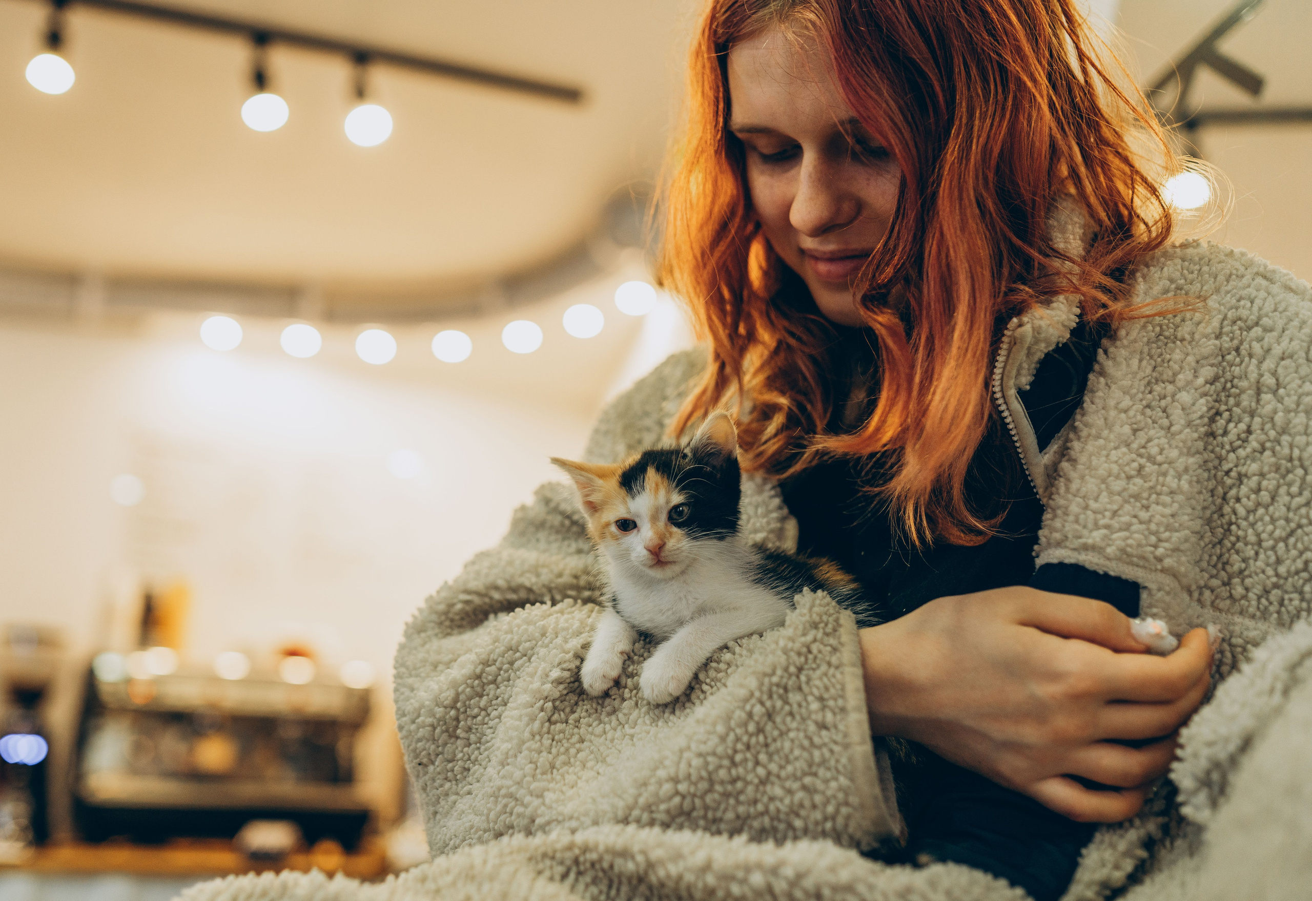 Соник. Фотограф анималист в Спб недорого Олеся Майорова