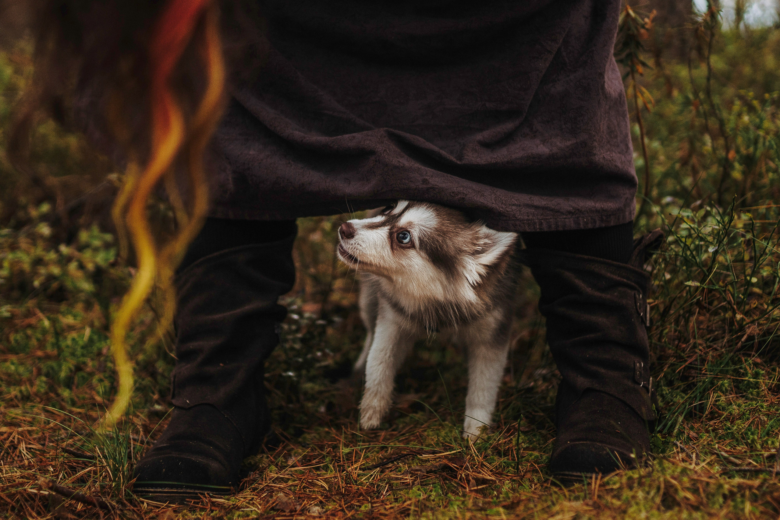 Катерина и Дрэка. Фотограф анималист в Спб недорого Олеся Майорова