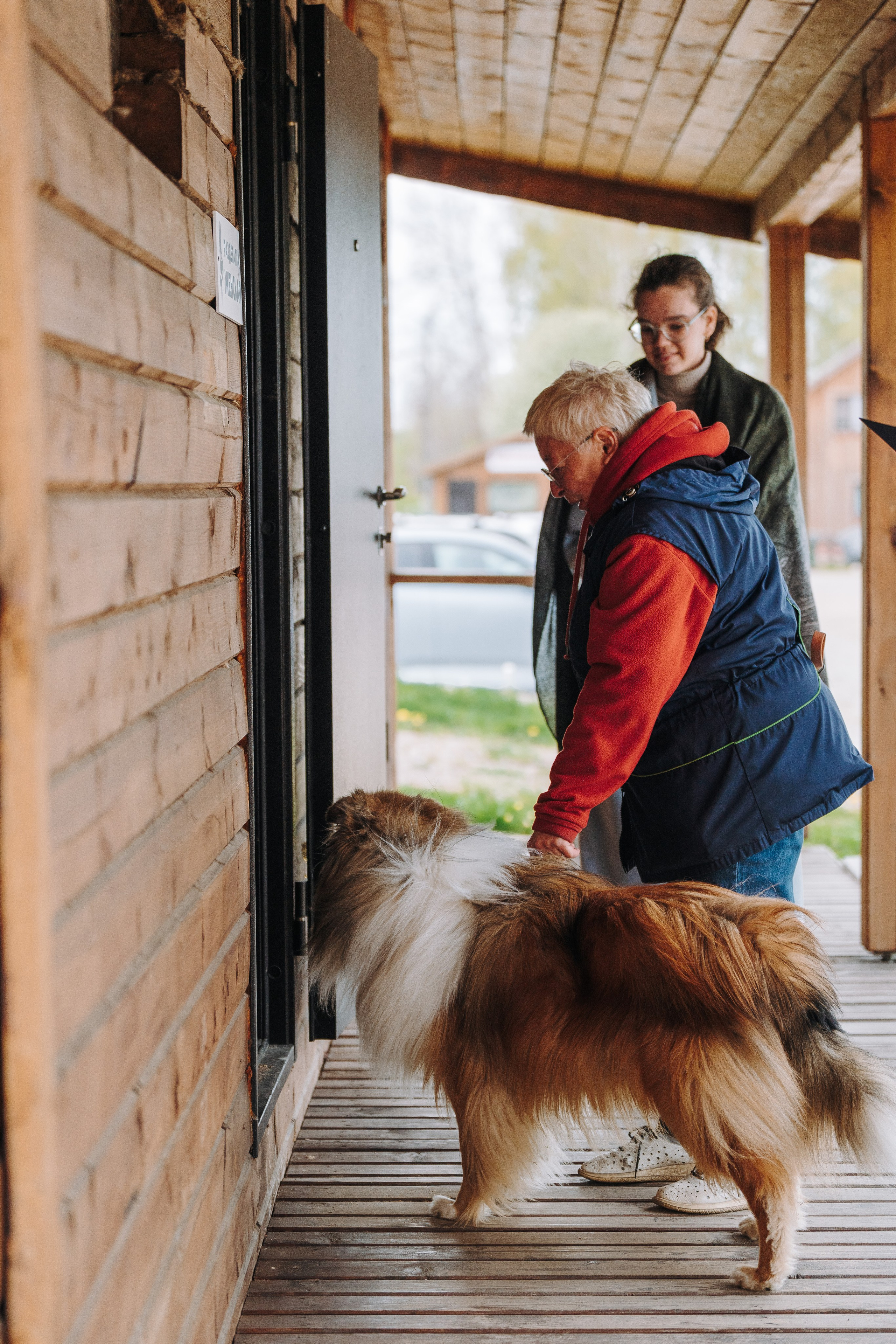 Соревнования по ноузворку в Лосево. Фотограф анималист в Спб недорого Олеся Майорова