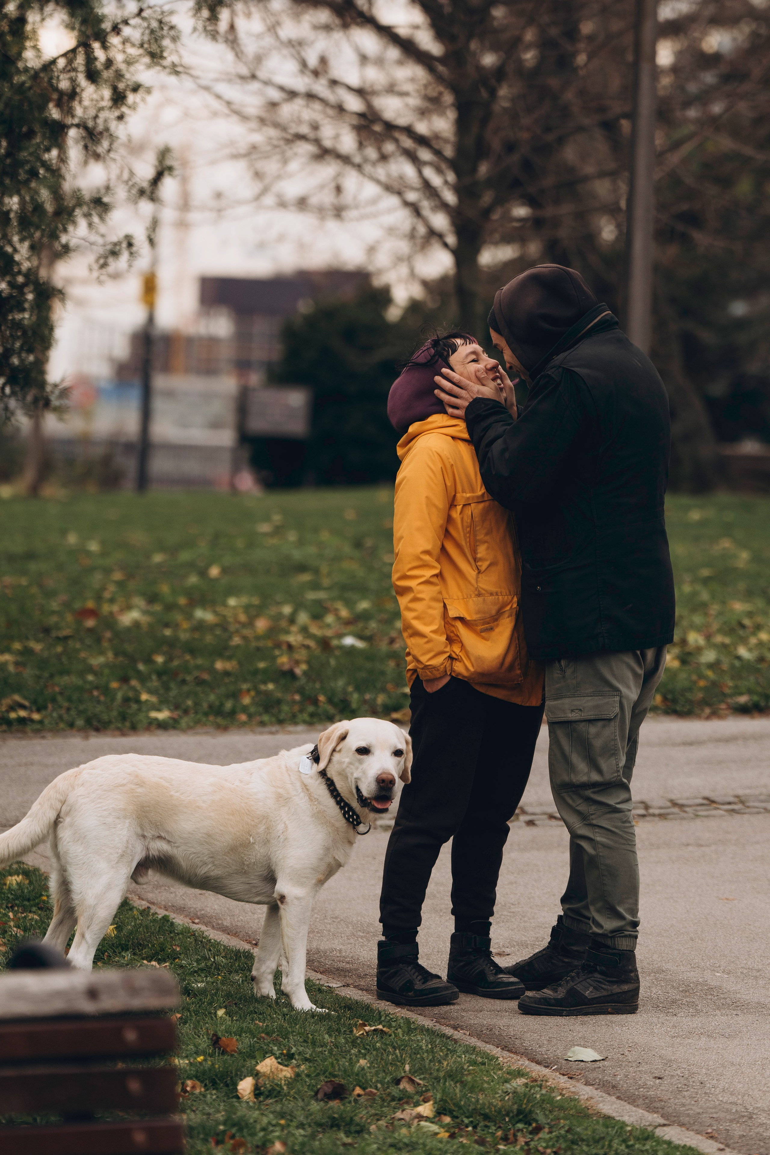 Вати, Лена и Леван. Фотограф анималист в Спб недорого Олеся Майорова