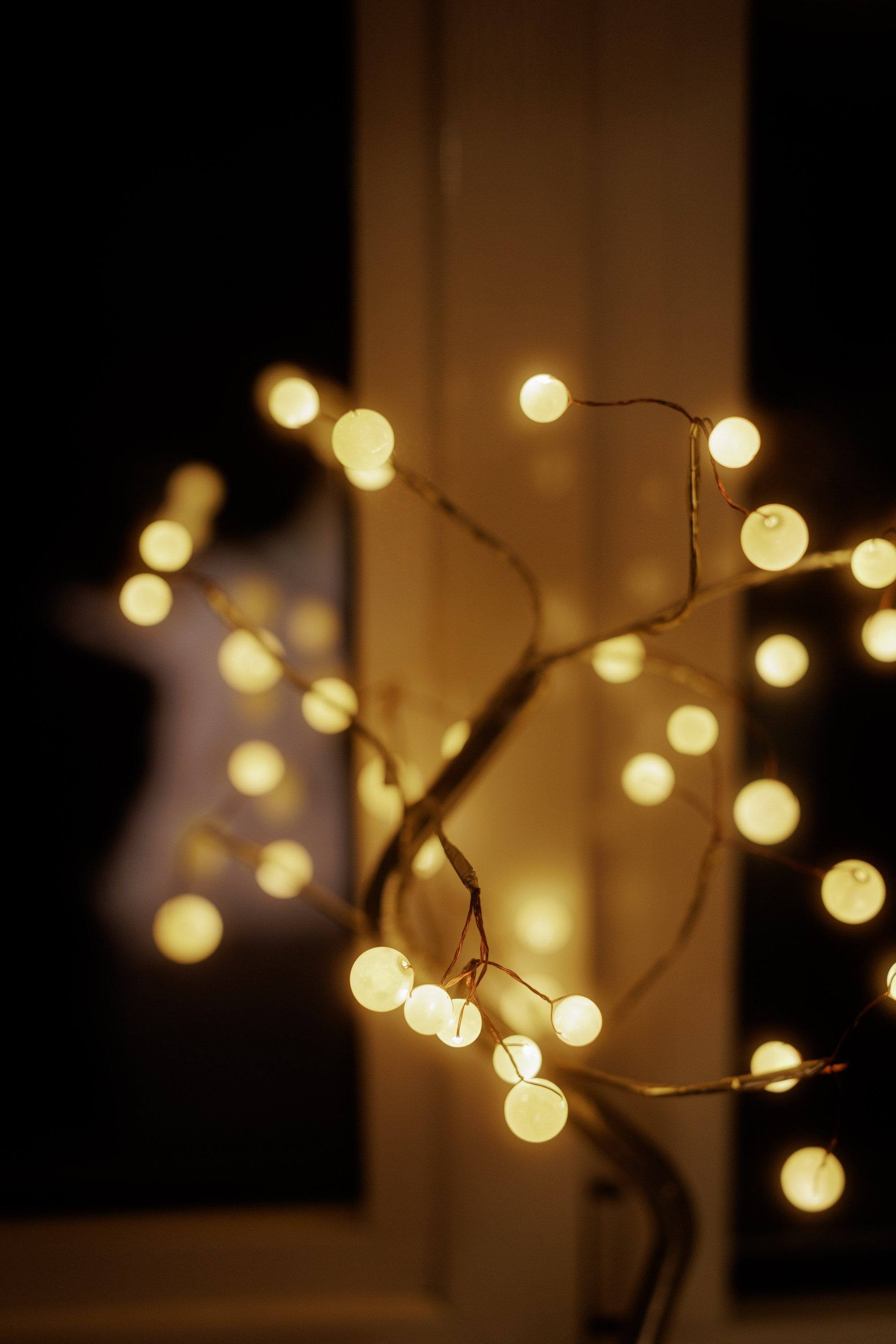 Леонид и Милена. Свадебный фотограф